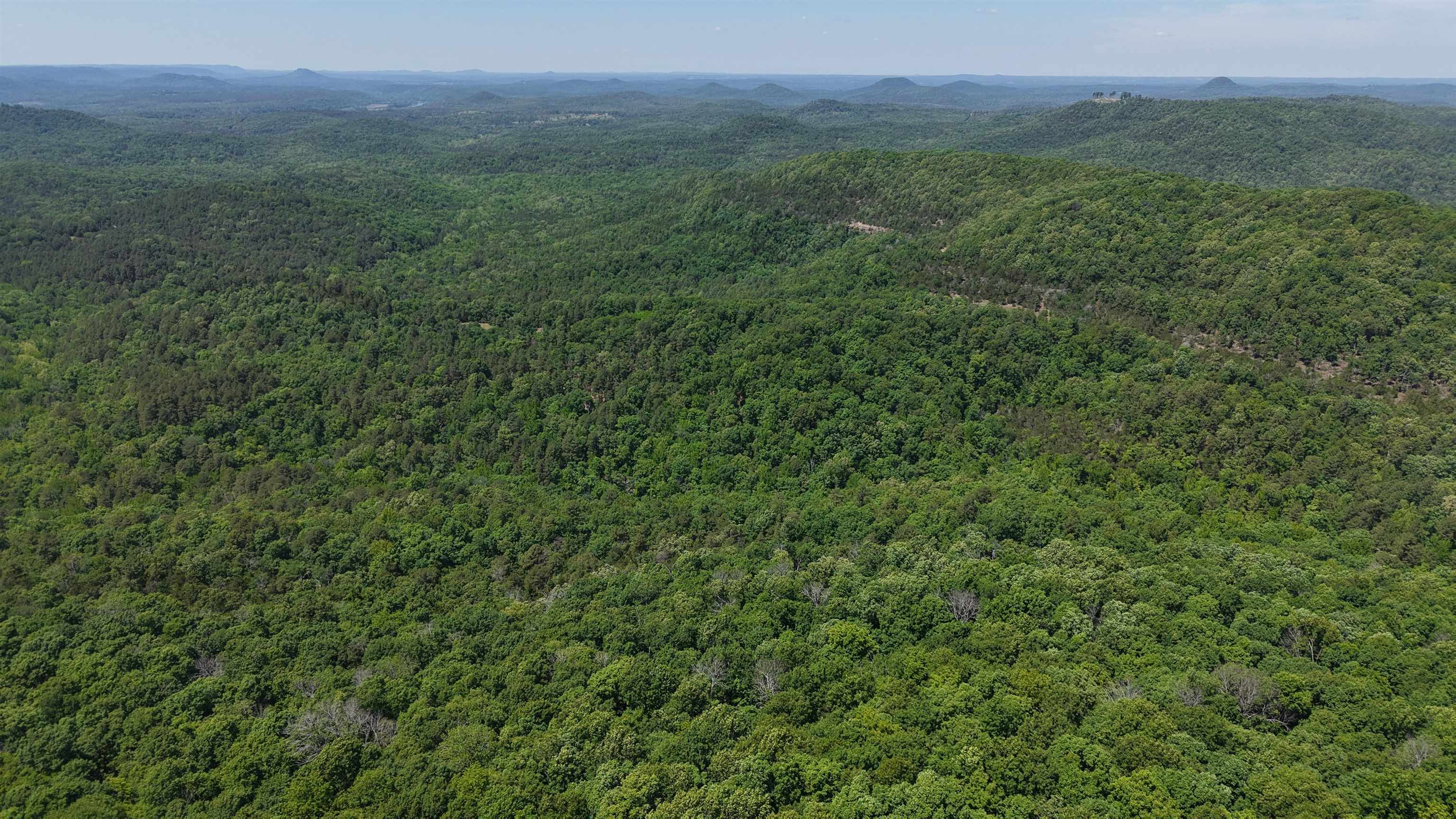 Photo 19 - Vacant Land for sale – 160A S AR 9 Hwy   Melbourne, AR