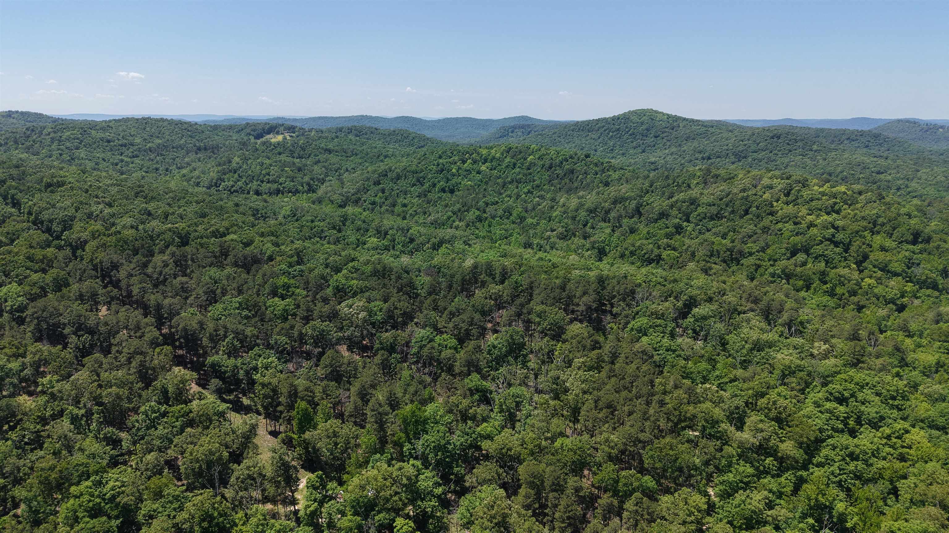 Photo 4 - Vacant Land for sale – 160A S AR 9 Hwy   Melbourne, AR