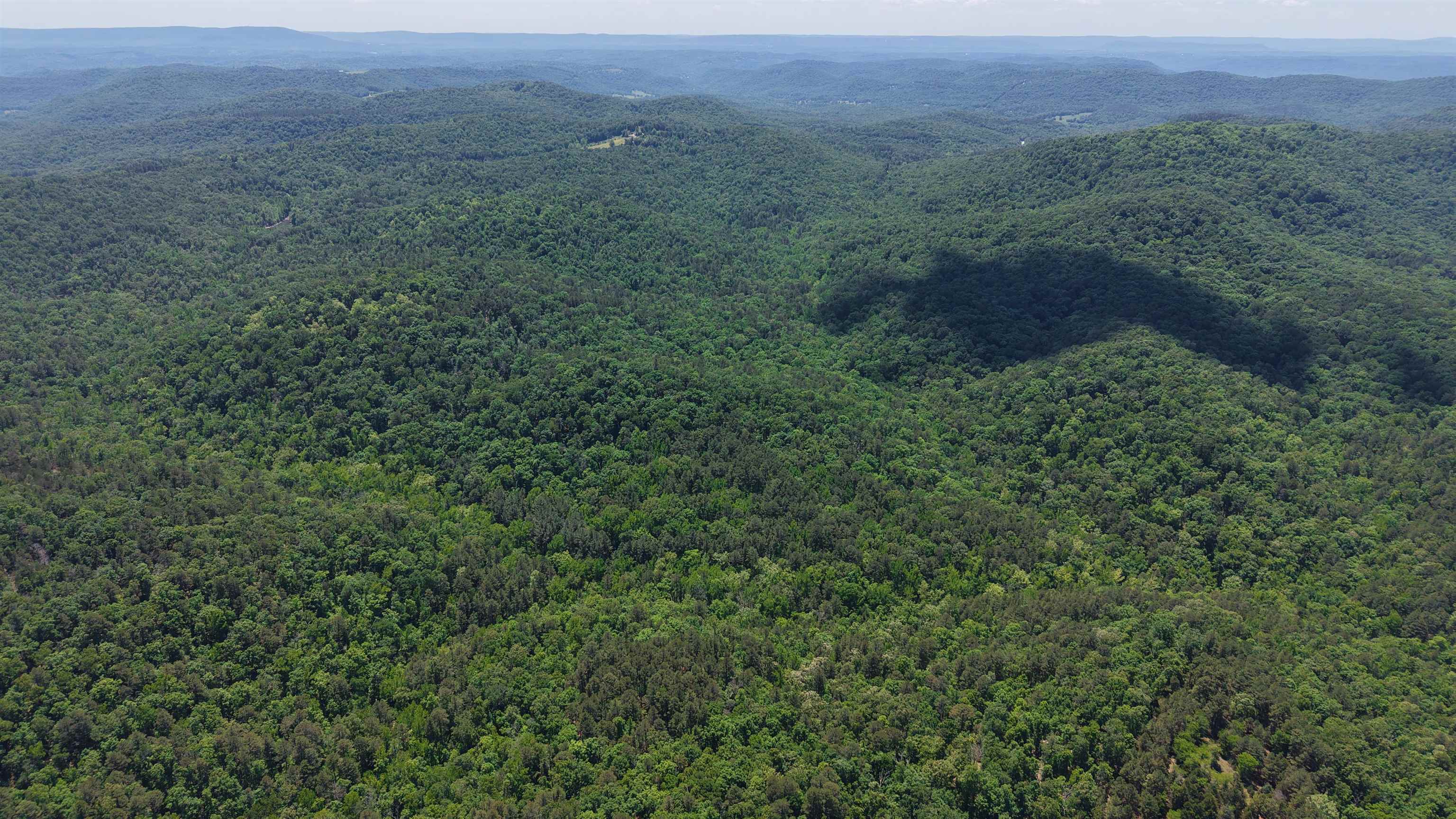 Photo 5 - Vacant Land for sale – 160A S AR 9 Hwy   Melbourne, AR