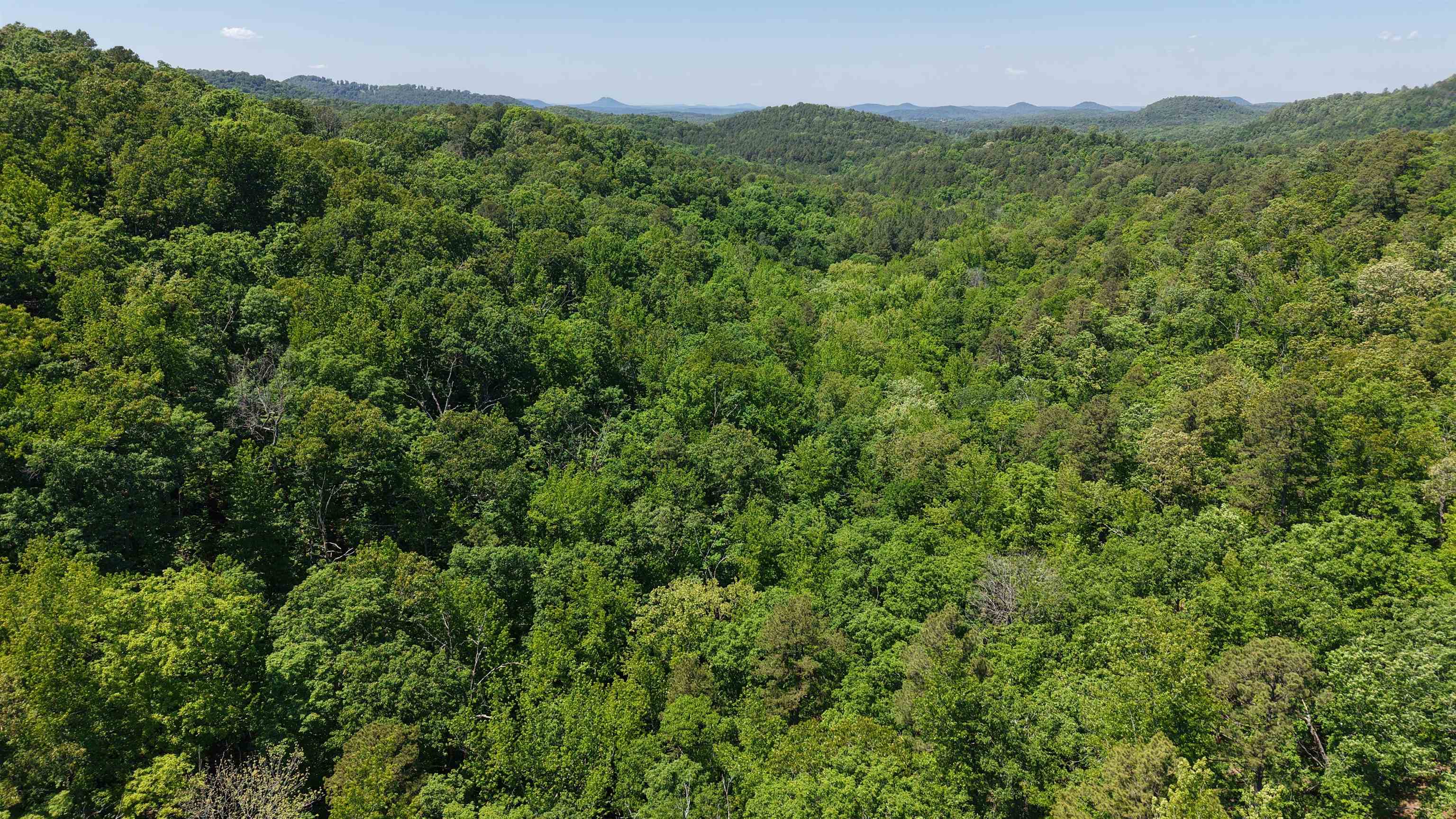 Photo 6 - Vacant Land for sale – 160A S AR 9 Hwy   Melbourne, AR