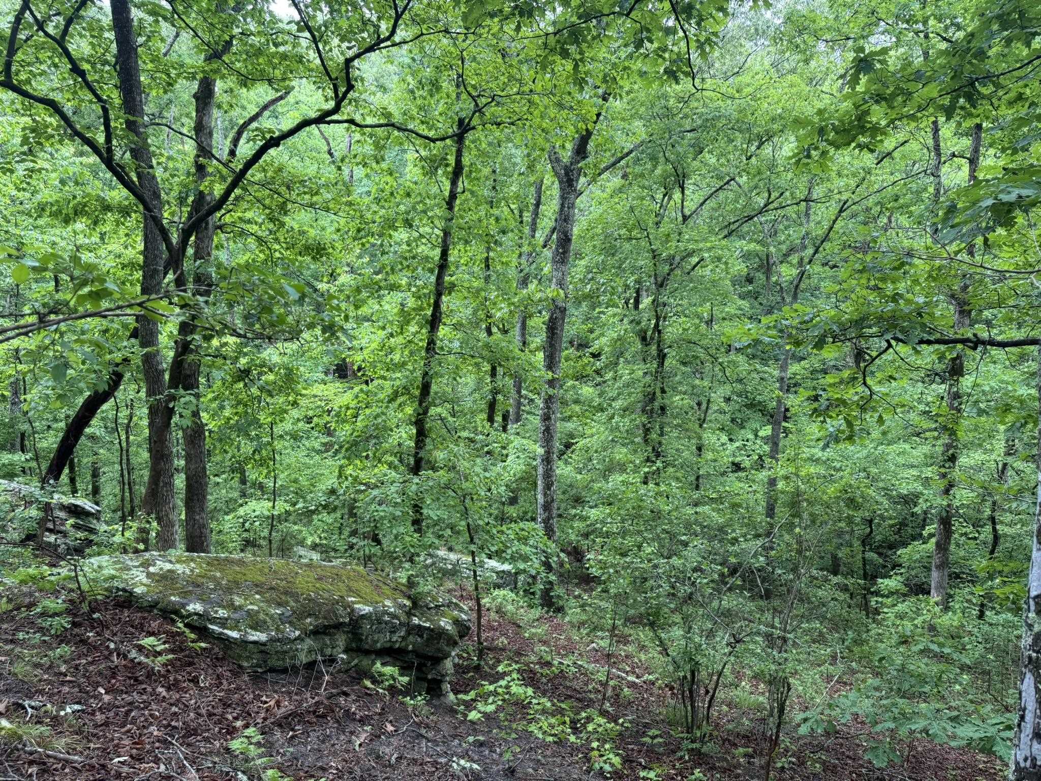 Photo 7 - Vacant Land for sale – 160A S AR 9 Hwy   Melbourne, AR