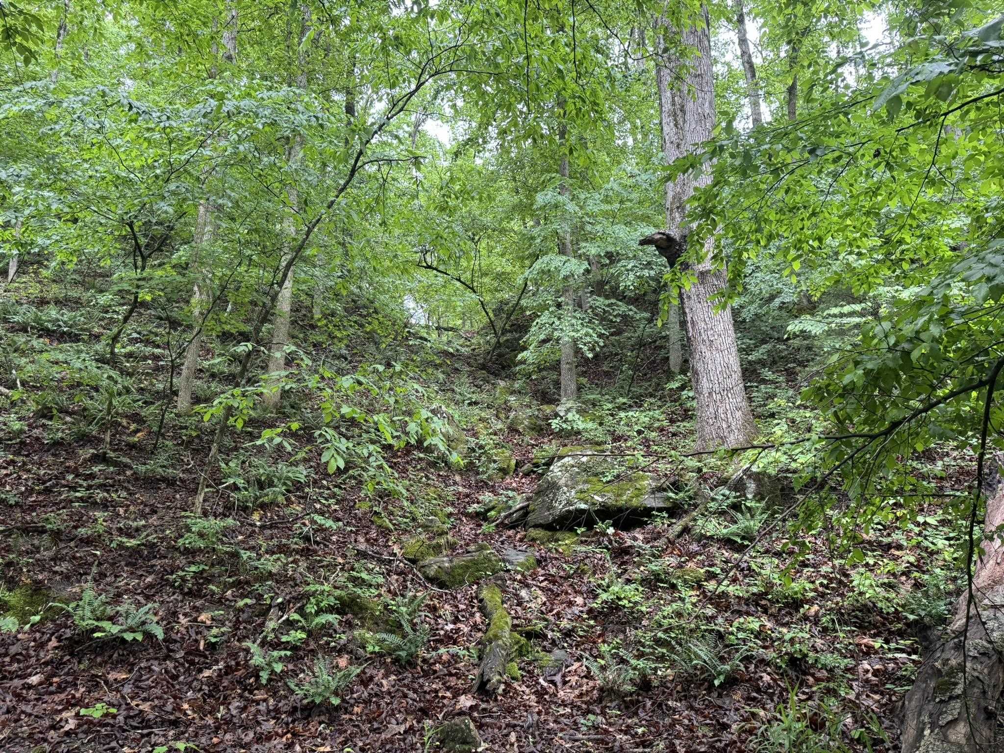 Photo 9 - Vacant Land for sale – 160A S AR 9 Hwy   Melbourne, AR
