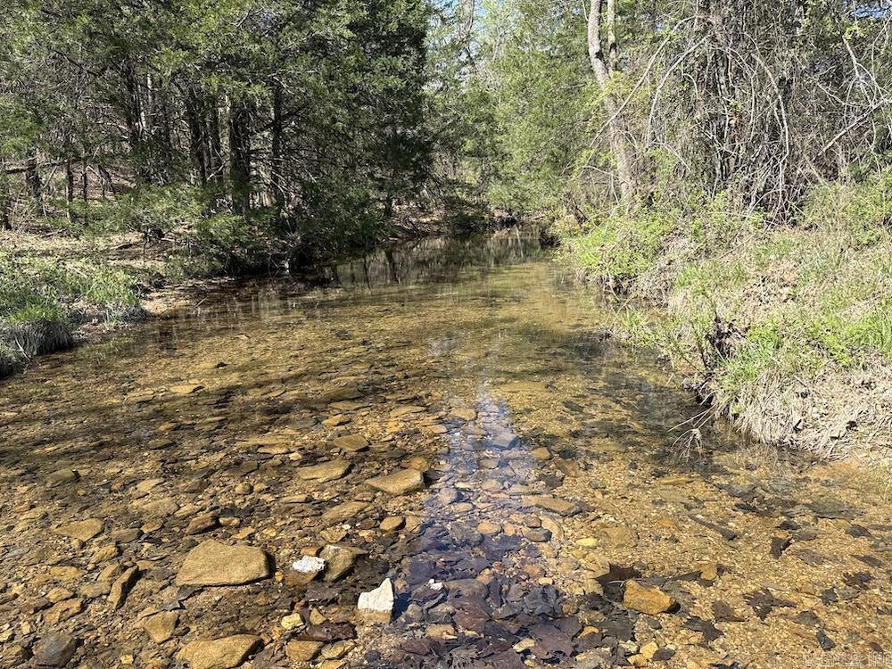 Photo 12 - Vacant Land for sale –   North Camp Creek Rd   Mammoth Spring, AR