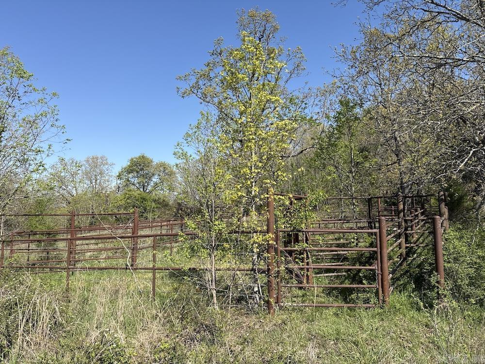 Photo 13 - Vacant Land for sale –   North Camp Creek Rd   Mammoth Spring, AR
