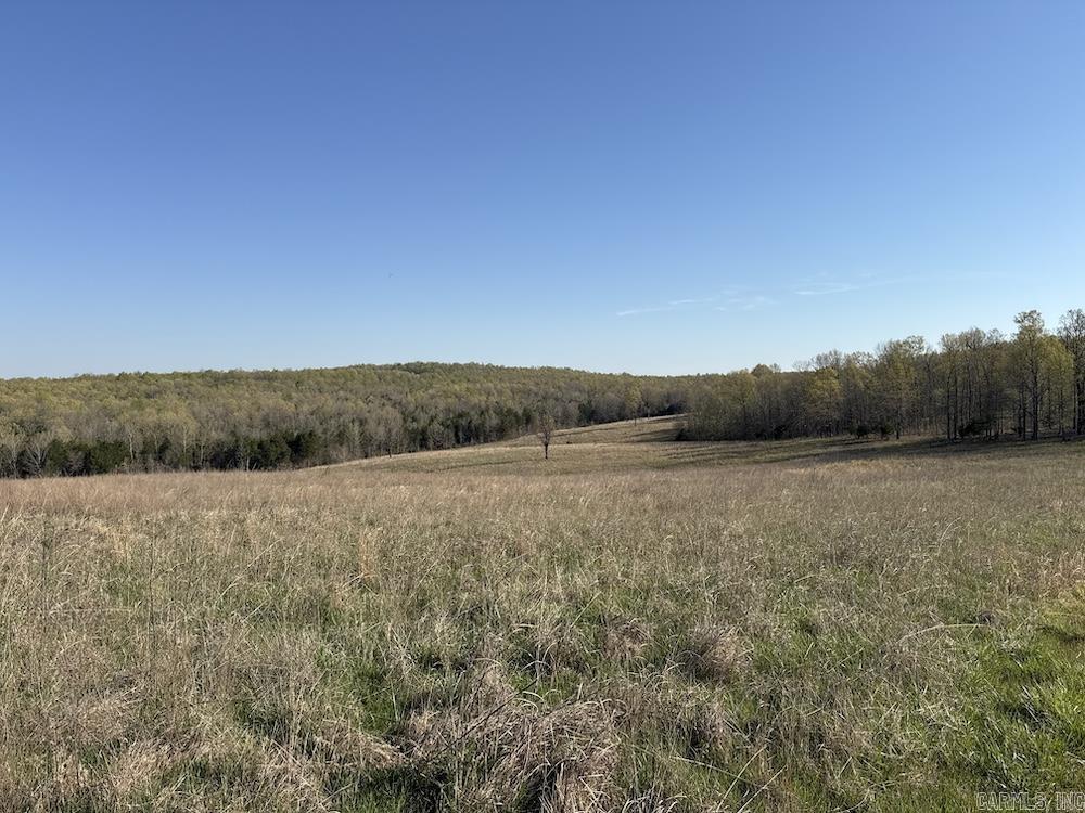 Photo 17 - Vacant Land for sale –   North Camp Creek Rd   Mammoth Spring, AR