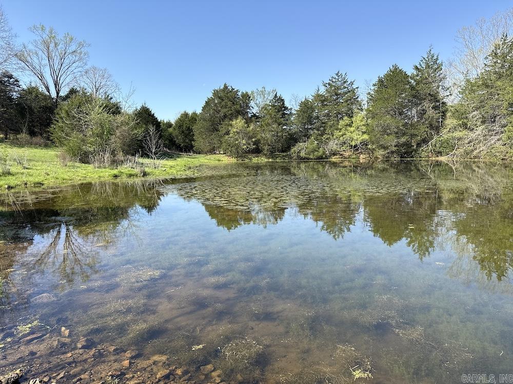 Photo 18 - Vacant Land for sale –   North Camp Creek Rd   Mammoth Spring, AR