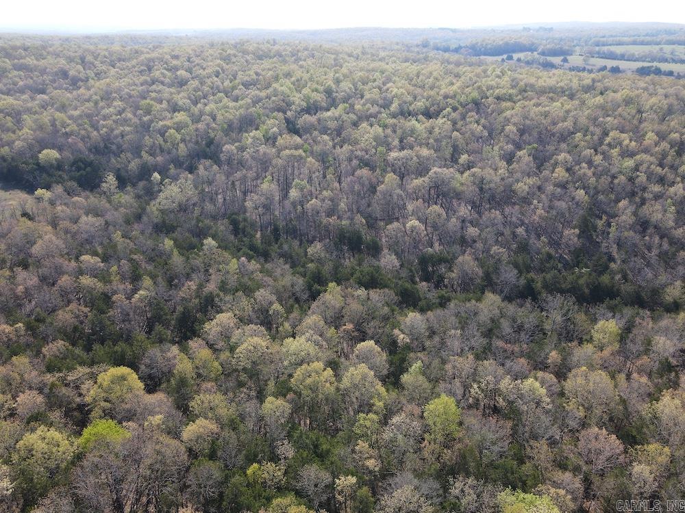 Photo 19 - Vacant Land for sale –   North Camp Creek Rd   Mammoth Spring, AR