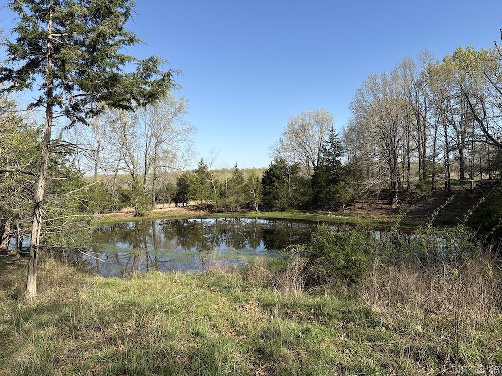 Photo 20 - Vacant Land for sale –   North Camp Creek Rd   Mammoth Spring, AR