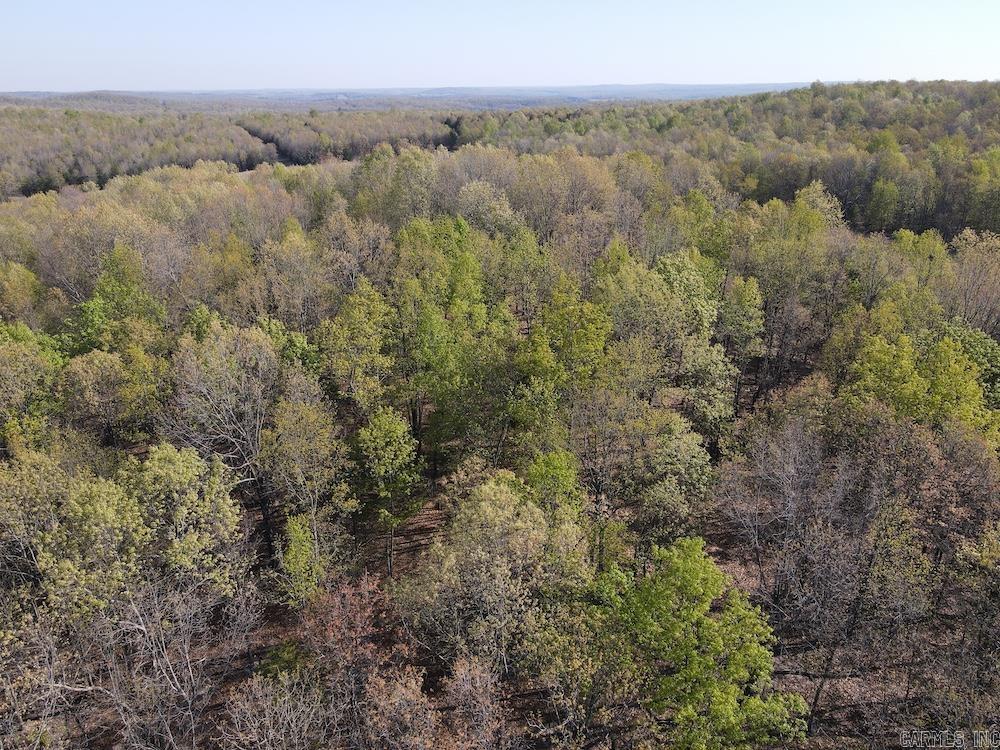 Photo 26 - Vacant Land for sale –   North Camp Creek Rd   Mammoth Spring, AR