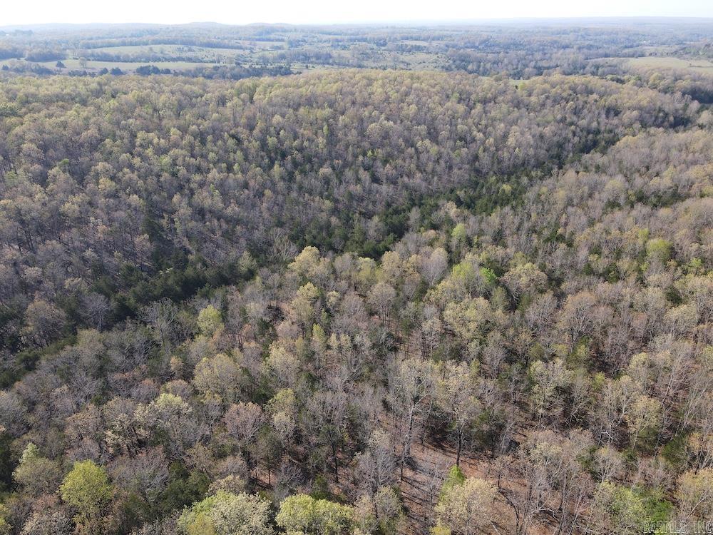 Photo 30 - Vacant Land for sale –   North Camp Creek Rd   Mammoth Spring, AR