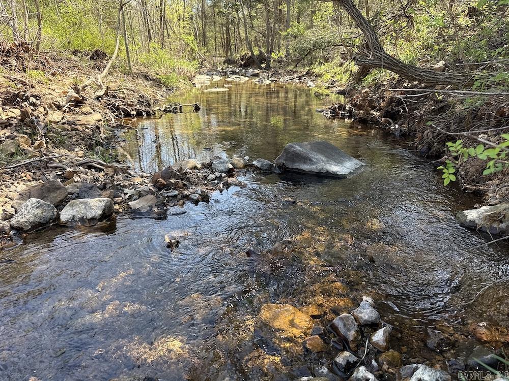 Photo 5 - Vacant Land for sale –   North Camp Creek Rd   Mammoth Spring, AR