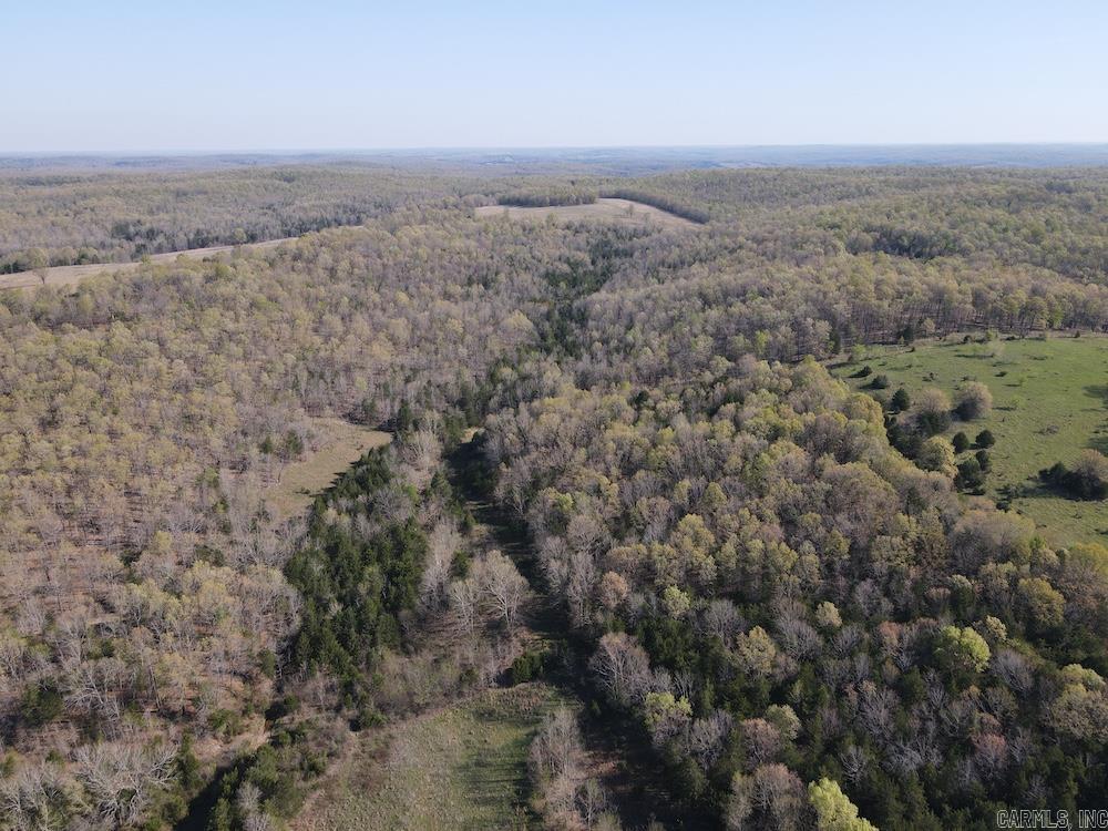 Photo 6 - Vacant Land for sale –   North Camp Creek Rd   Mammoth Spring, AR