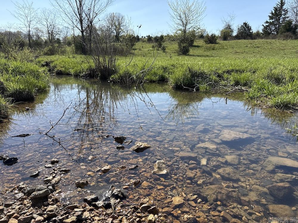 Photo 9 - Vacant Land for sale –   North Camp Creek Rd   Mammoth Spring, AR