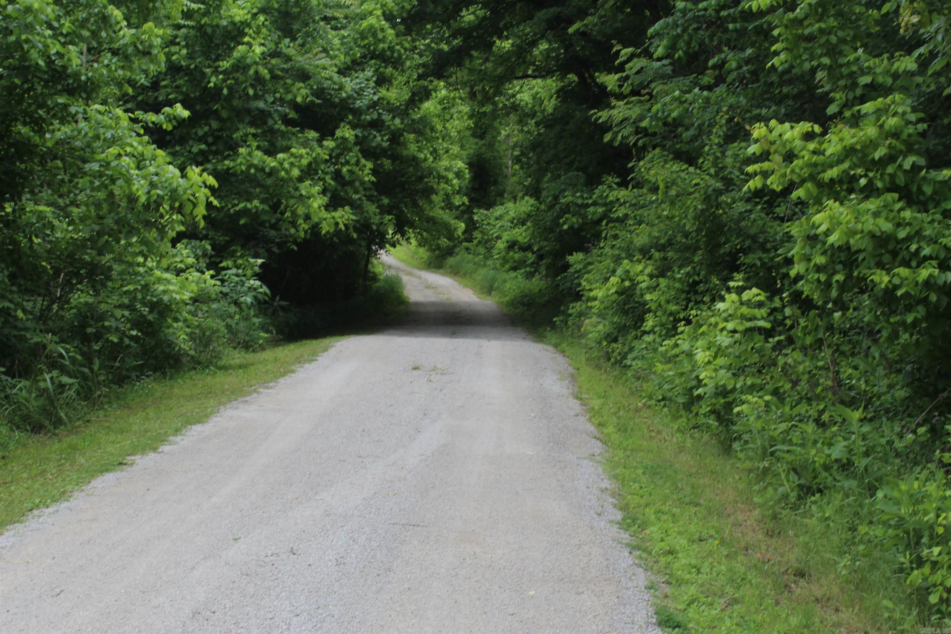 Photo 11 - Vacant Land for sale – 0 County Rd 157  River Ridge Estates   Guion, AR