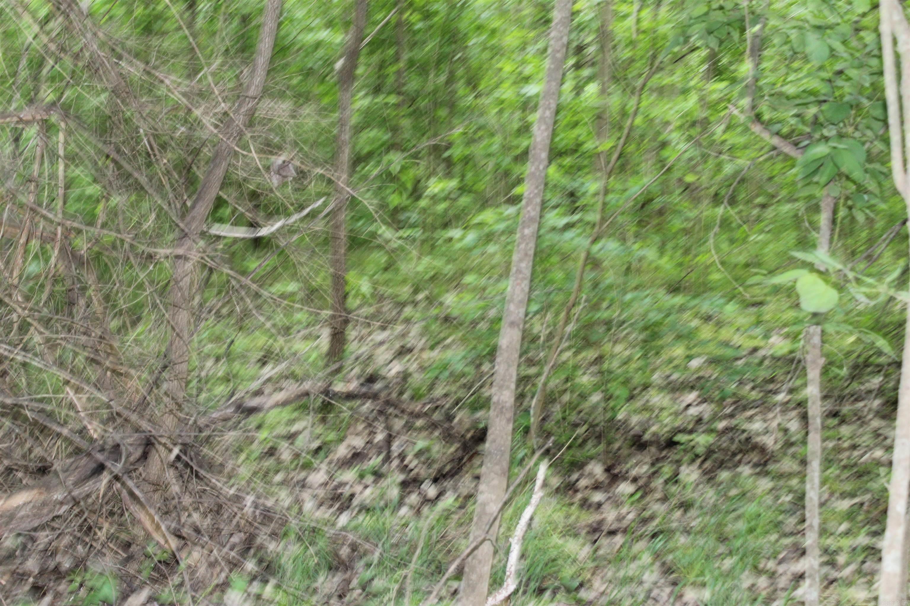 Photo 16 - Vacant Land for sale – 0 County Rd 157  River Ridge Estates   Guion, AR