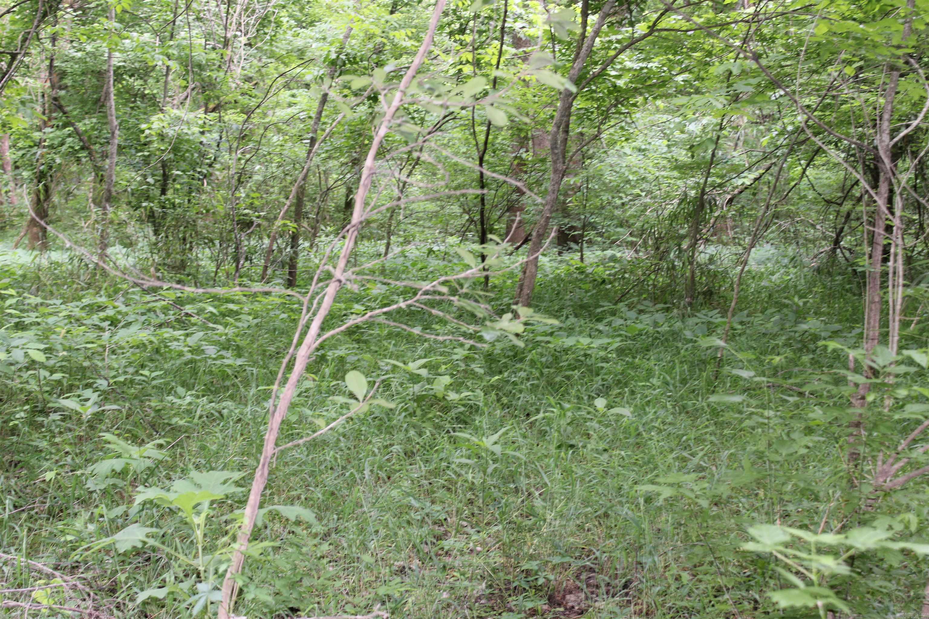 Photo 17 - Vacant Land for sale – 0 County Rd 157  River Ridge Estates   Guion, AR