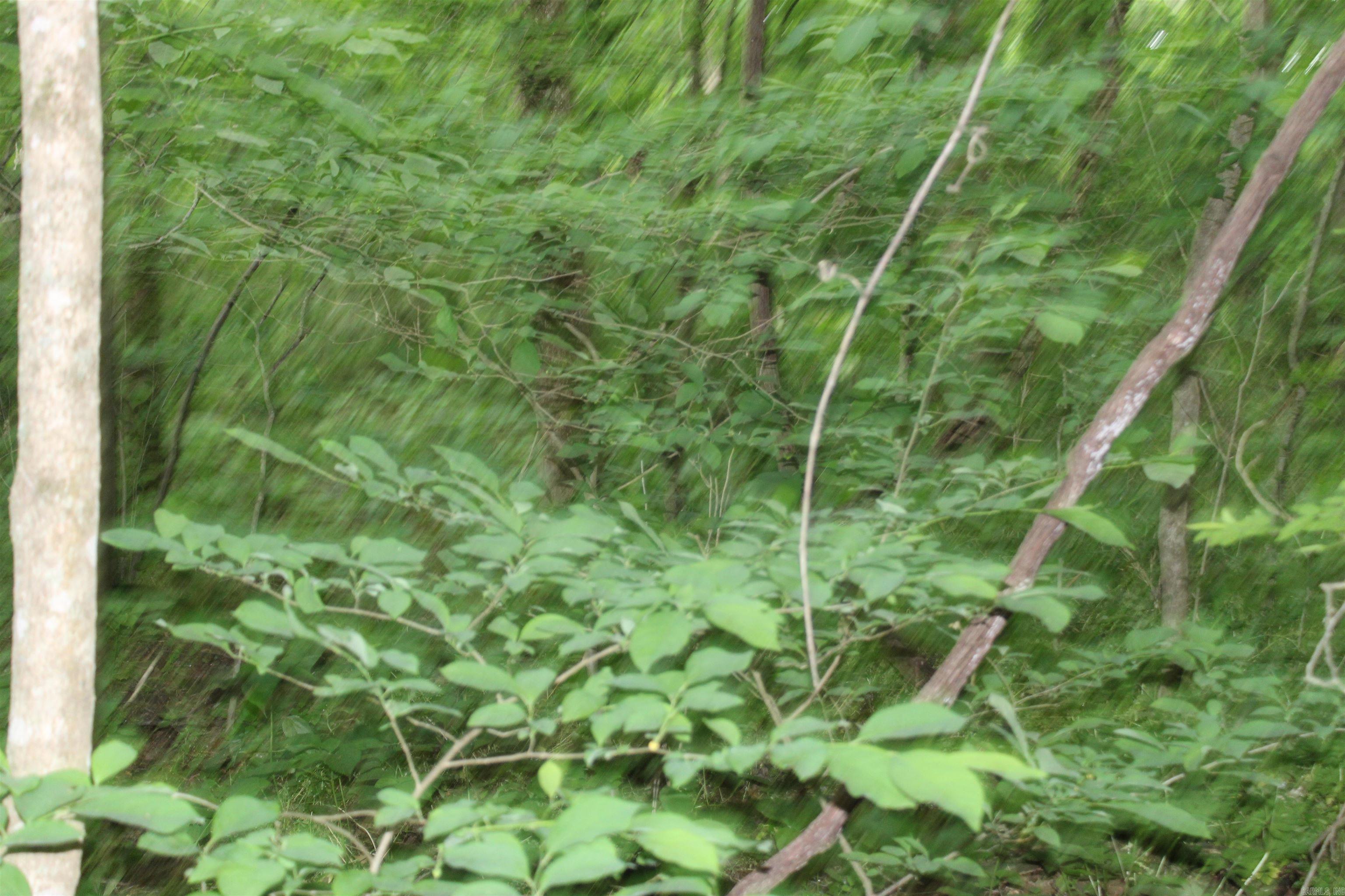 Photo 26 - Vacant Land for sale – 0 County Rd 157  River Ridge Estates   Guion, AR