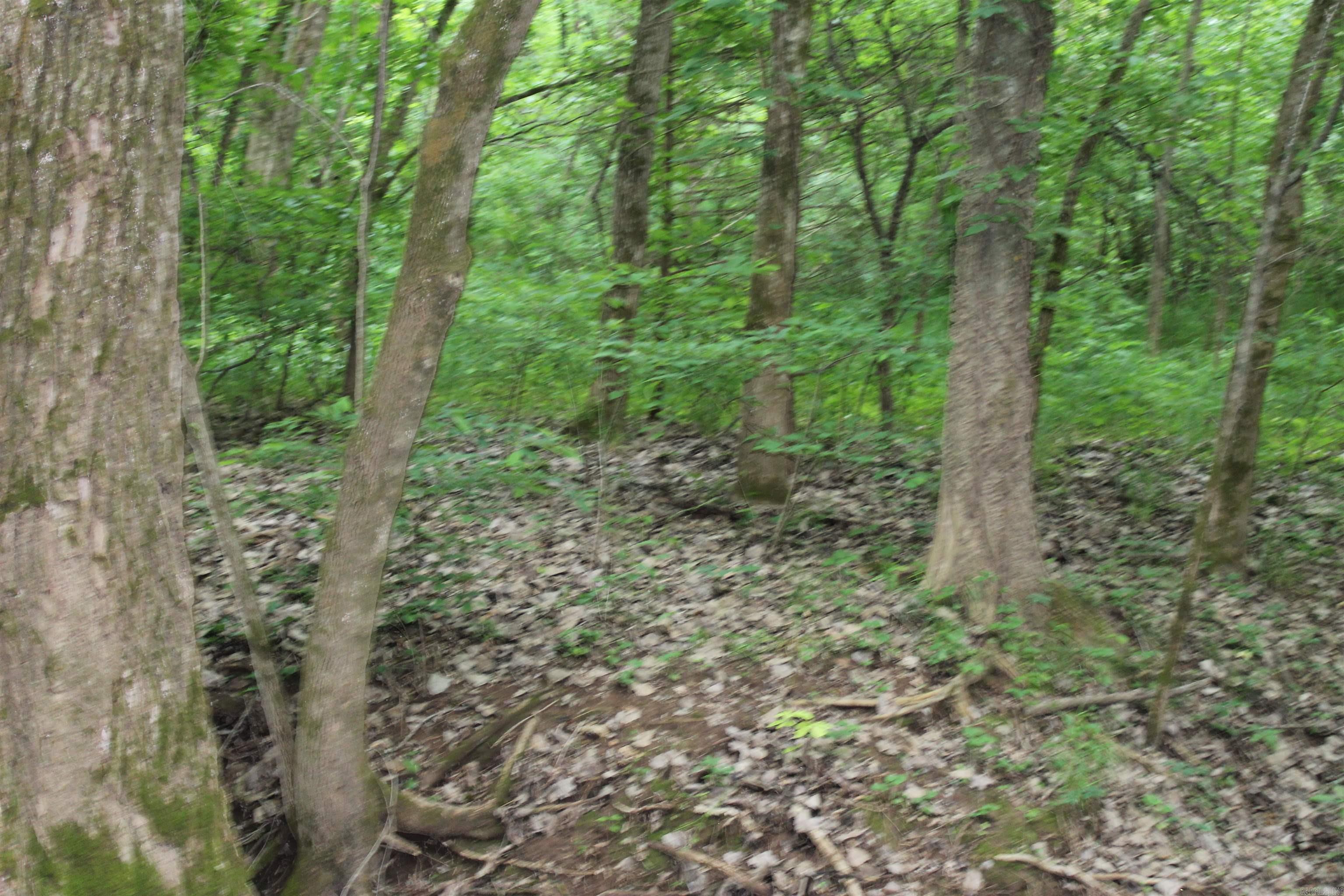 Photo 11 - Vacant Land for sale – 00 CR 157  River Ridge Estates   Guion, AR