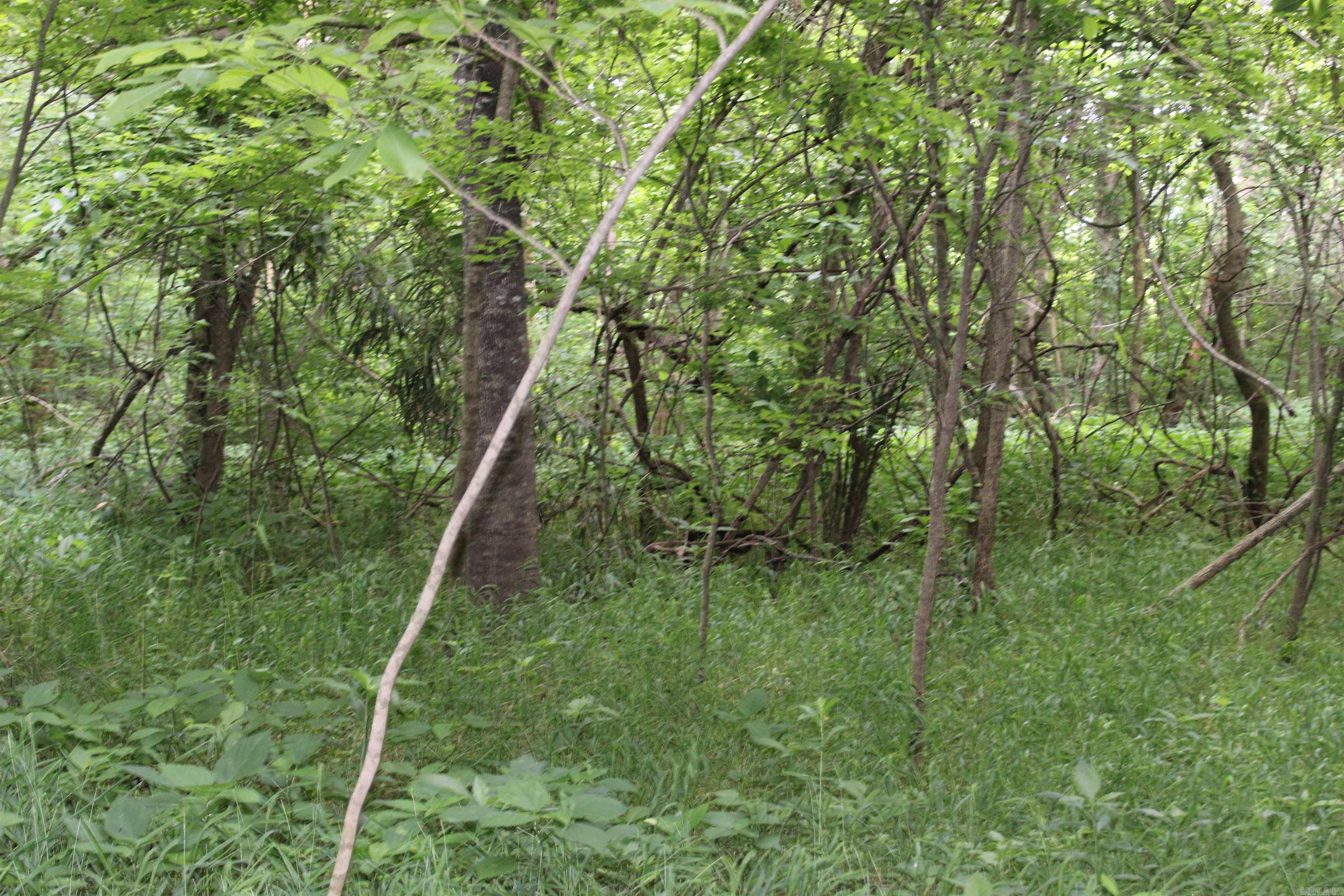 Photo 16 - Vacant Land for sale – 00 CR 157  River Ridge Estates   Guion, AR
