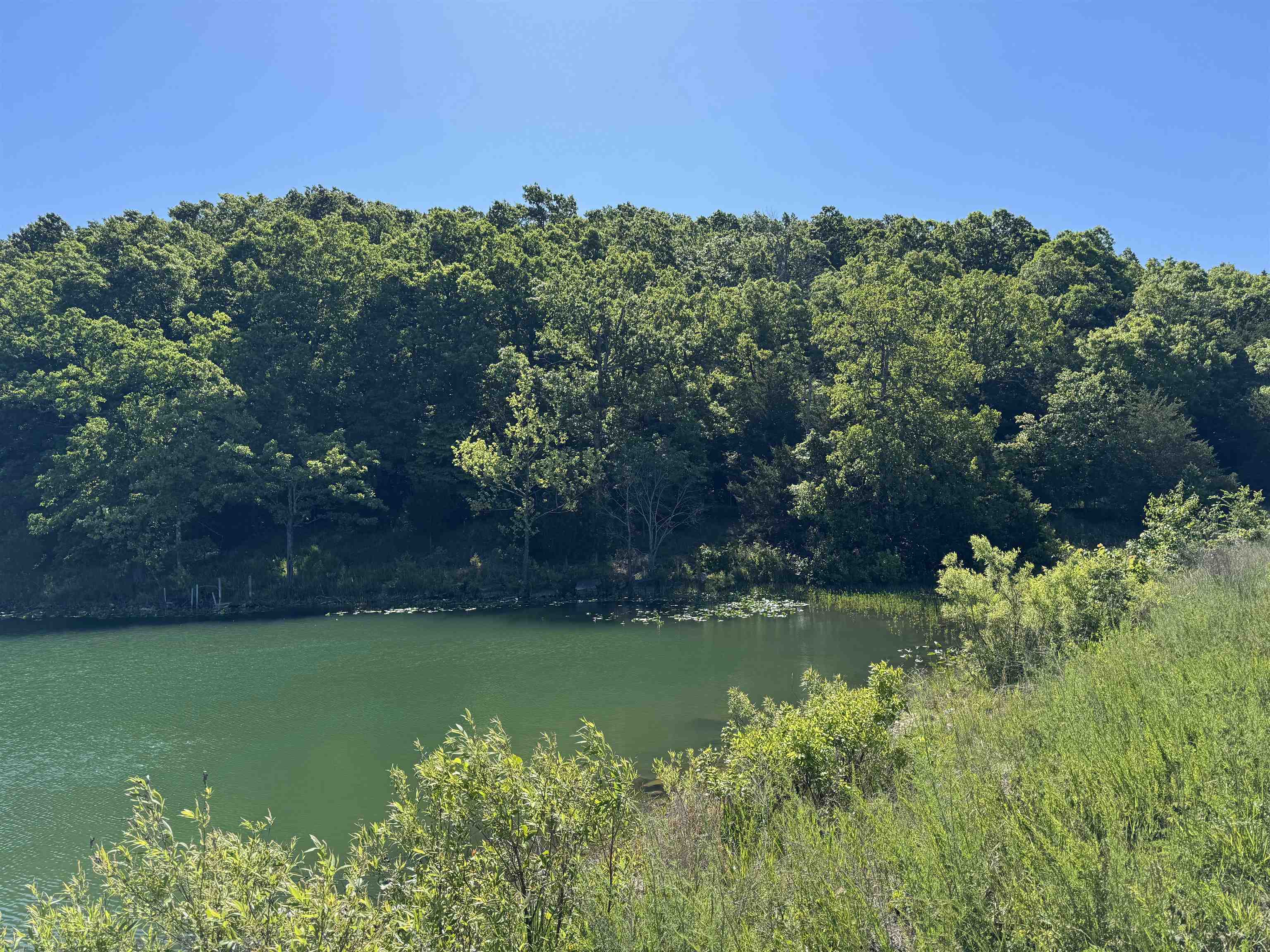 Vacant Land for sale – TBD S Pineridge Road   Horseshoe Bend, AR