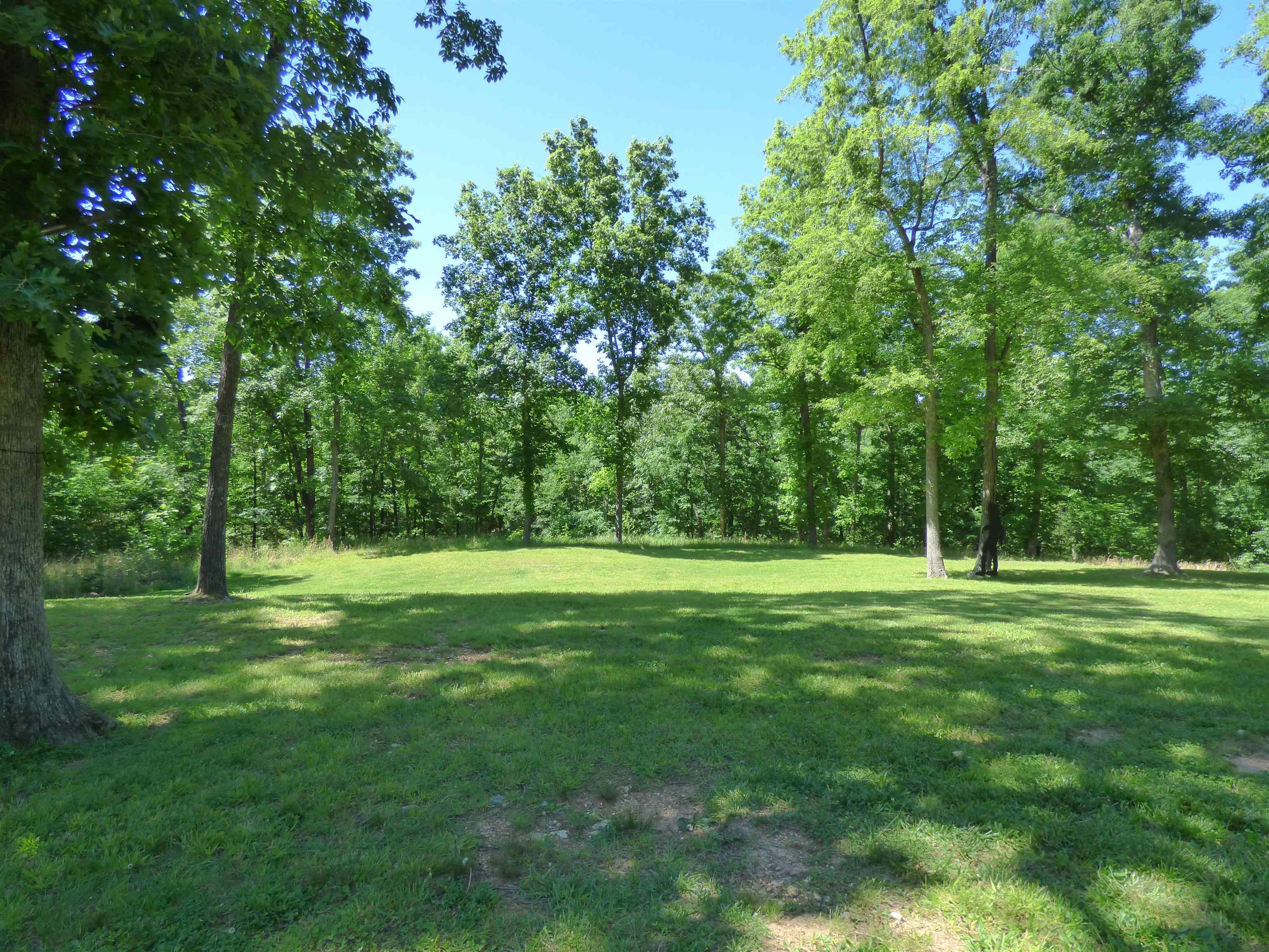 Photo 6 - Residential for sale – 183  AR Highway 175   Hardy, AR
