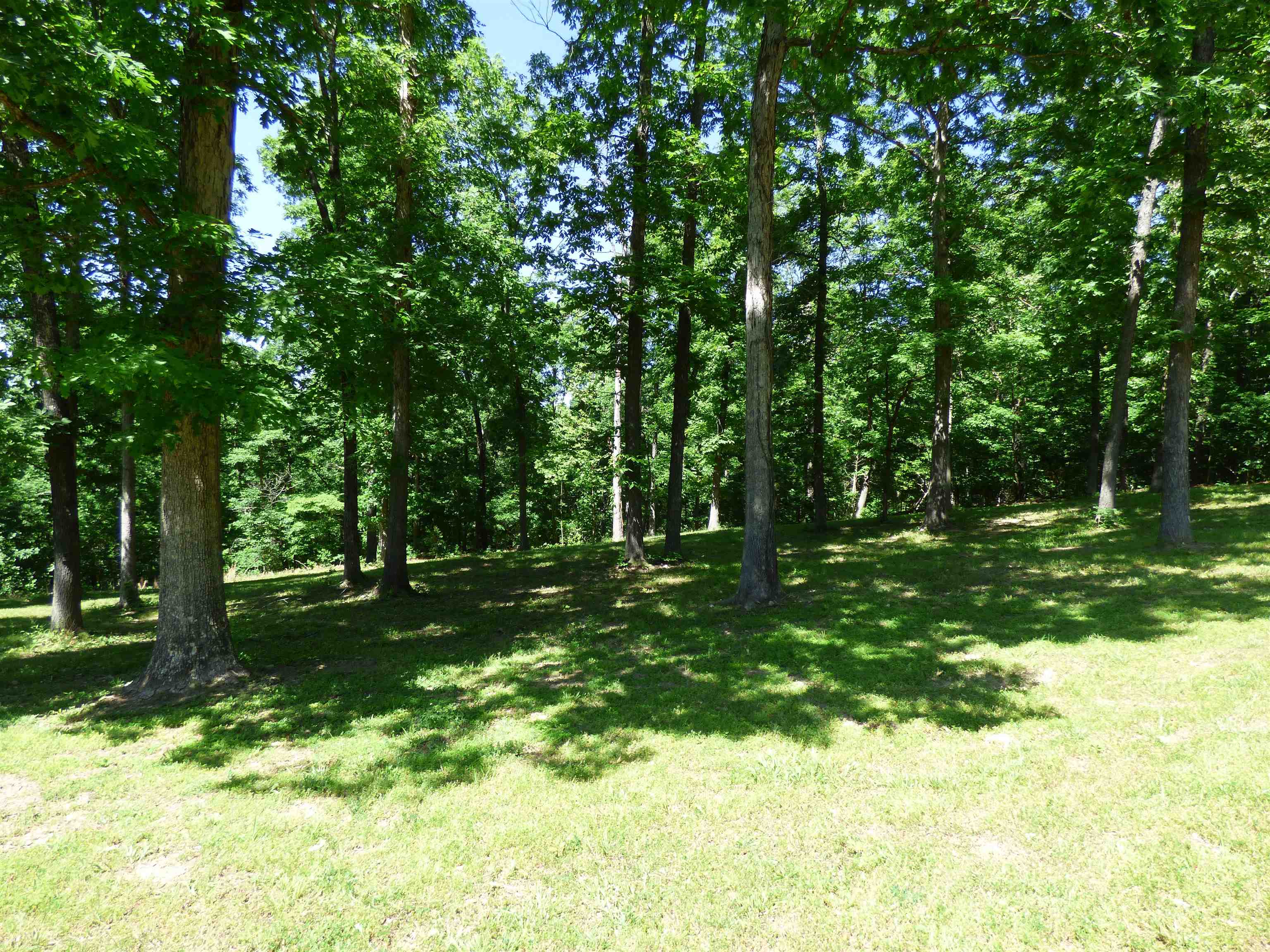 Photo 9 - Residential for sale – 183  AR Highway 175   Hardy, AR