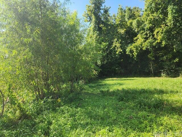 Photo 4 - Vacant Land for sale – 2980  Harrison   Batesville, AR