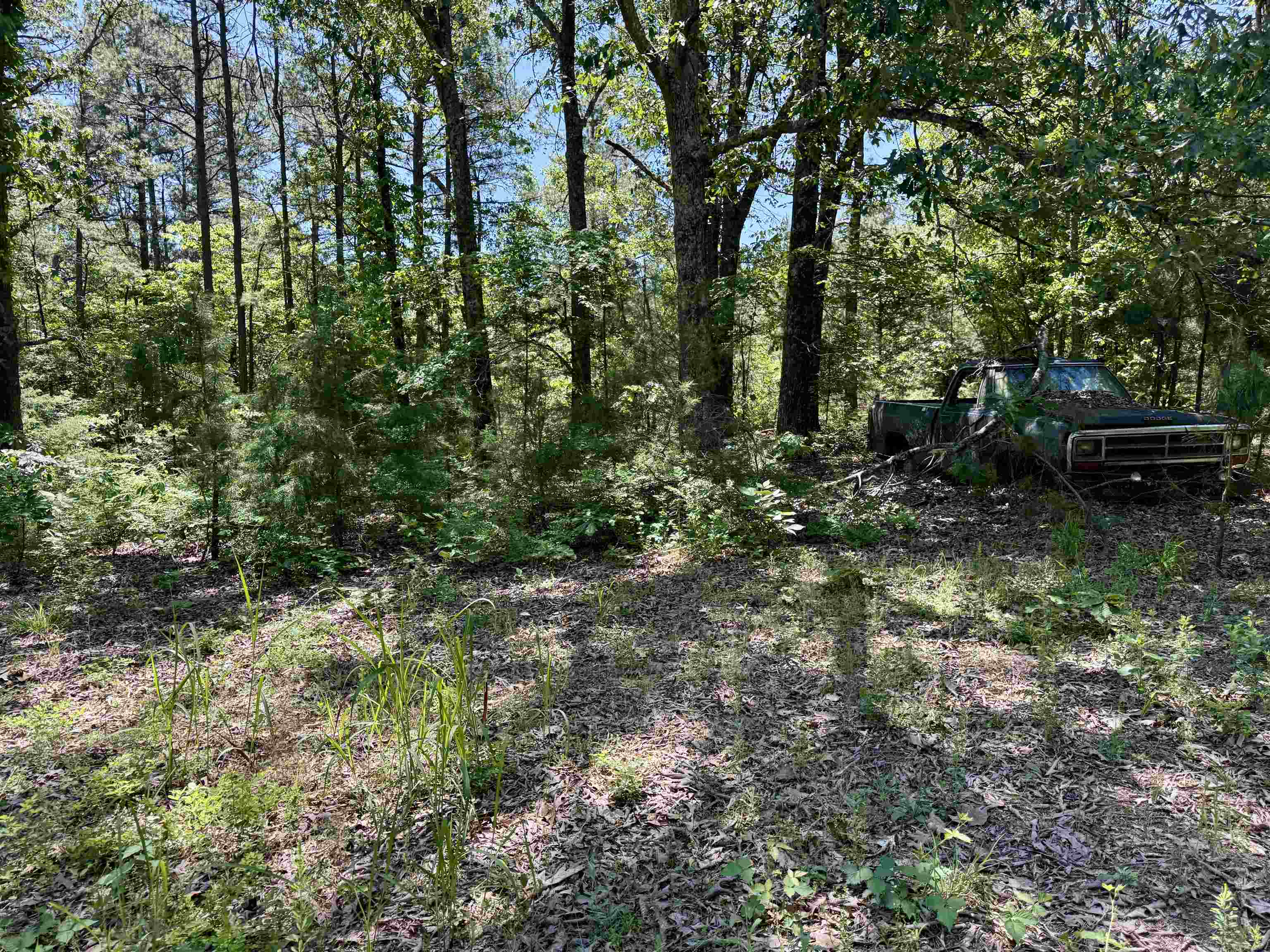 Photo 11 - Vacant Land for sale – 51  Herron Way   Brockwell, AR
