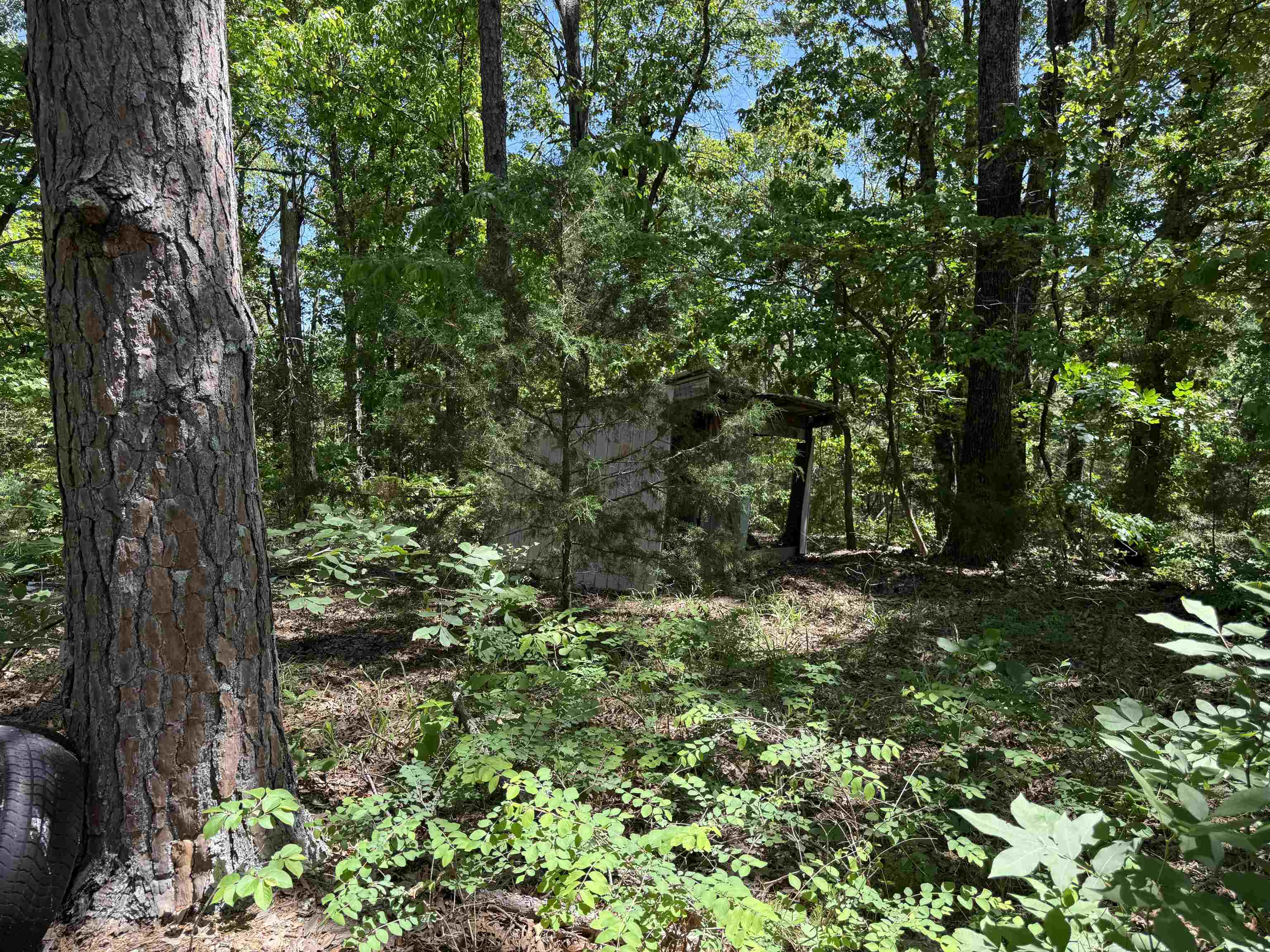 Photo 12 - Vacant Land for sale – 51  Herron Way   Brockwell, AR