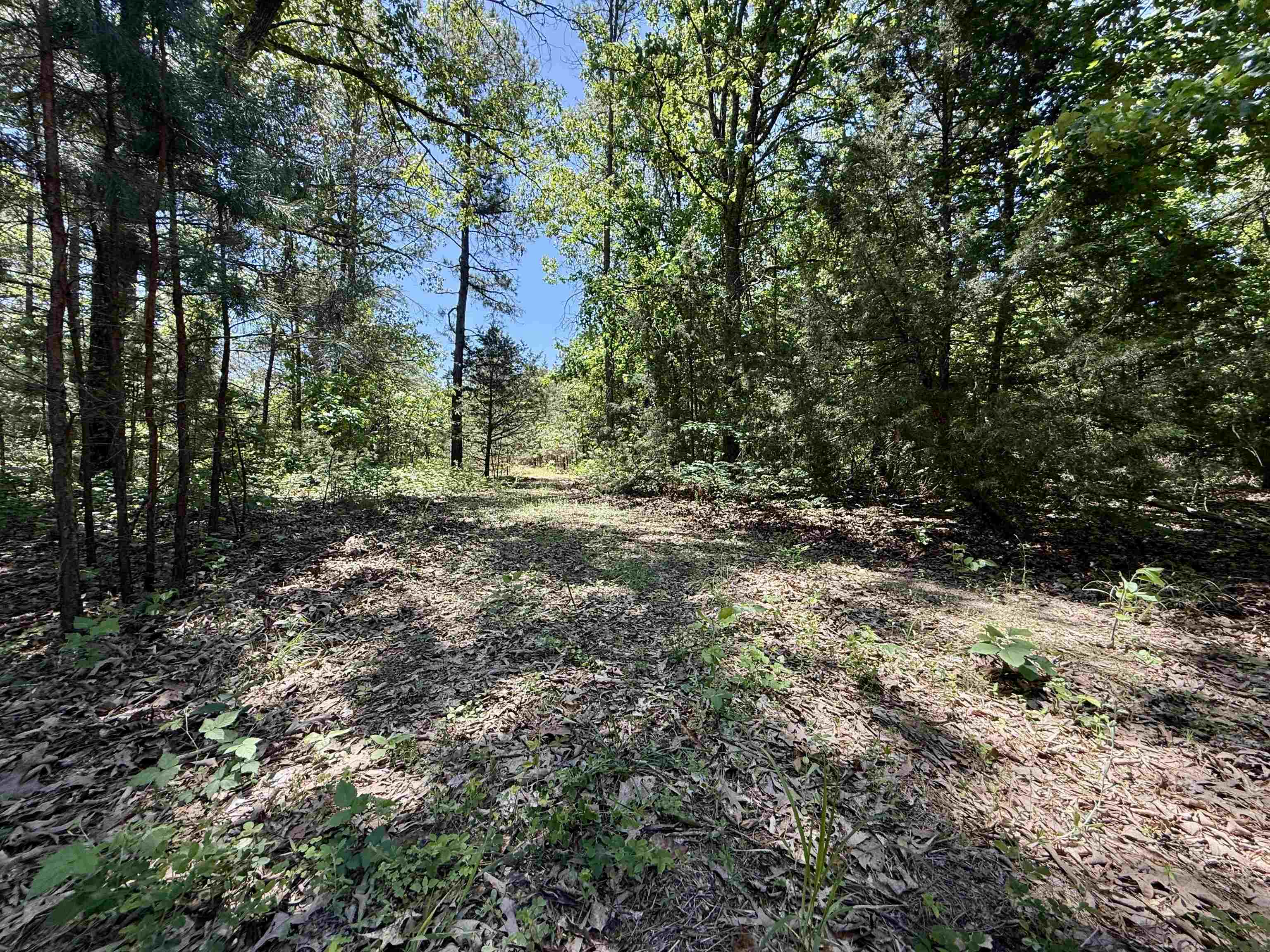 Photo 13 - Vacant Land for sale – 51  Herron Way   Brockwell, AR