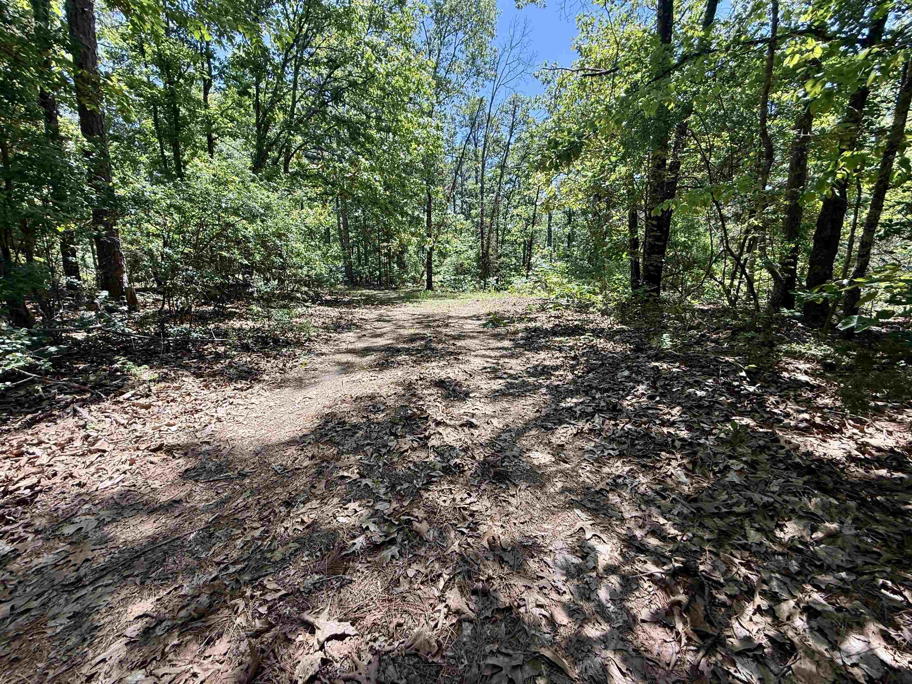 Photo 14 - Vacant Land for sale – 51  Herron Way   Brockwell, AR