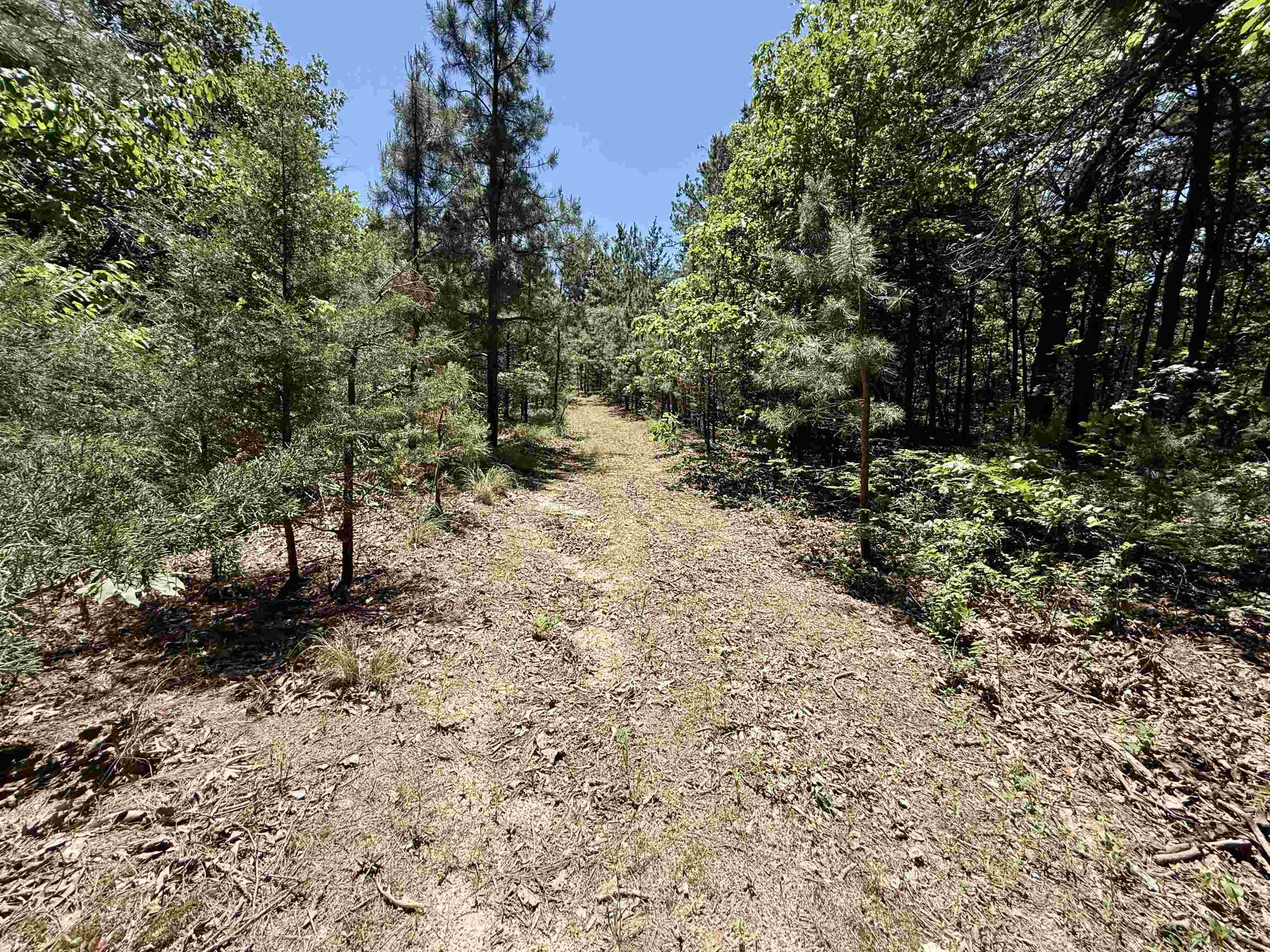 Photo 15 - Vacant Land for sale – 51  Herron Way   Brockwell, AR