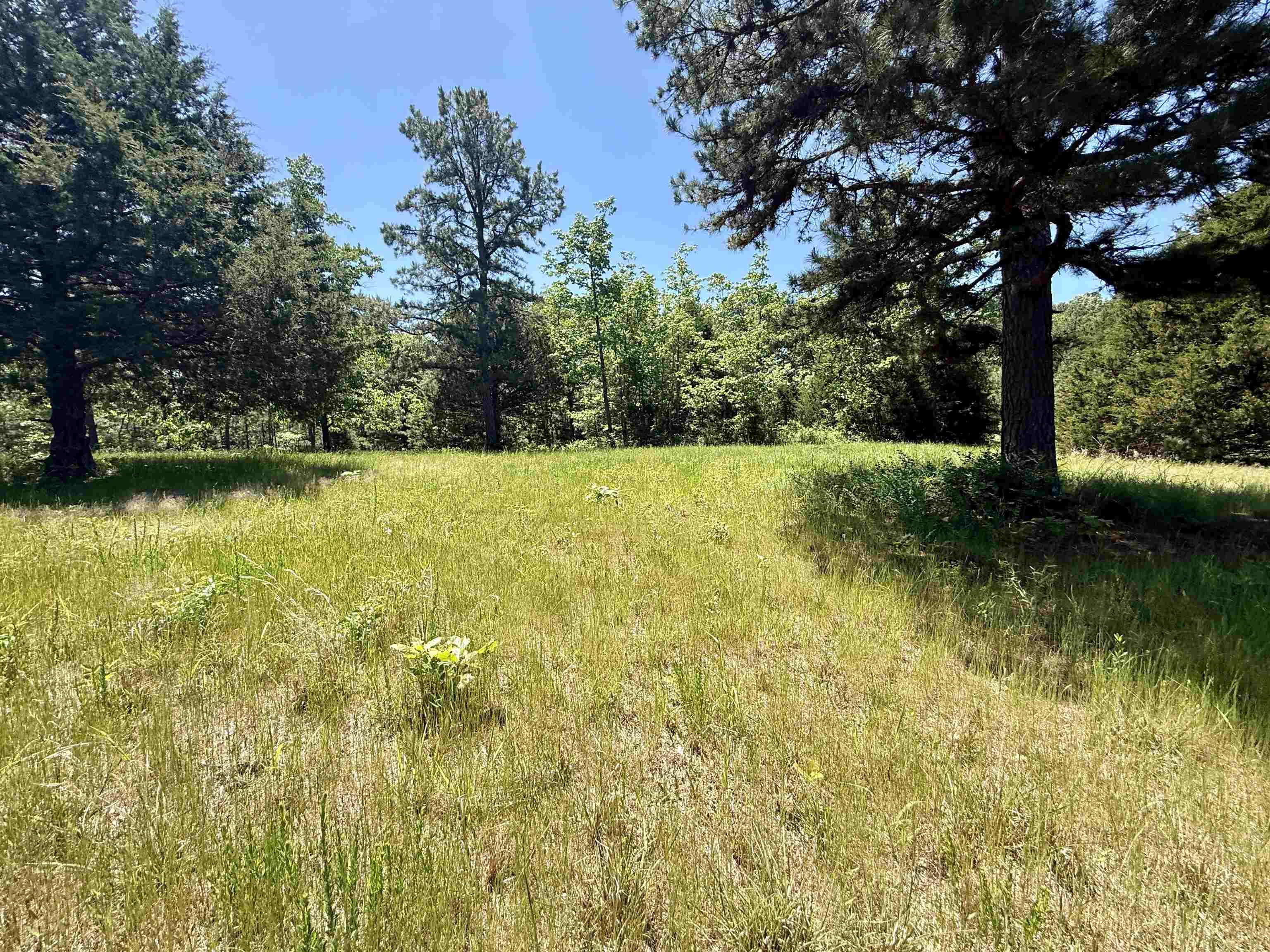 Photo 17 - Vacant Land for sale – 51  Herron Way   Brockwell, AR