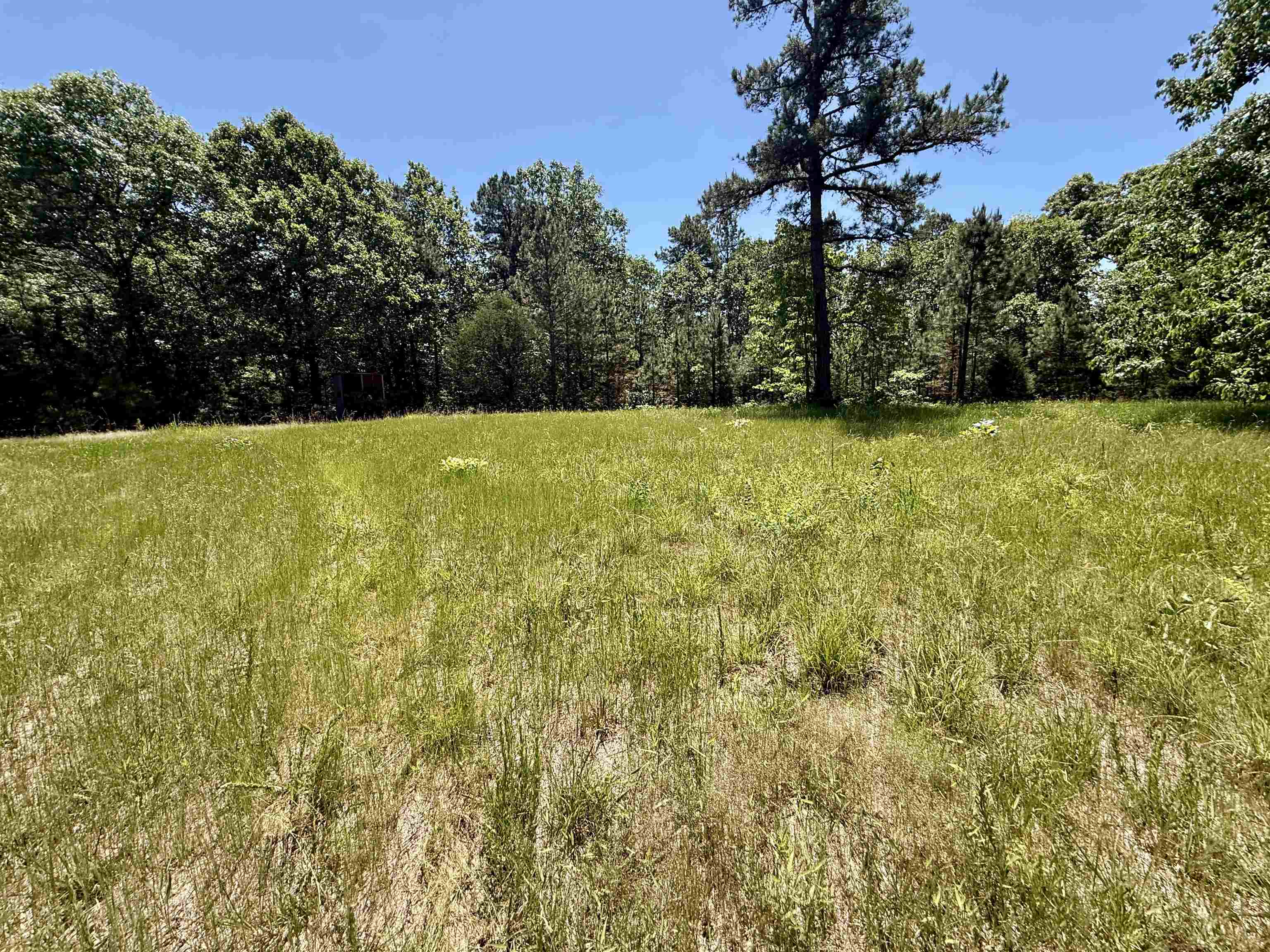 Photo 18 - Vacant Land for sale – 51  Herron Way   Brockwell, AR