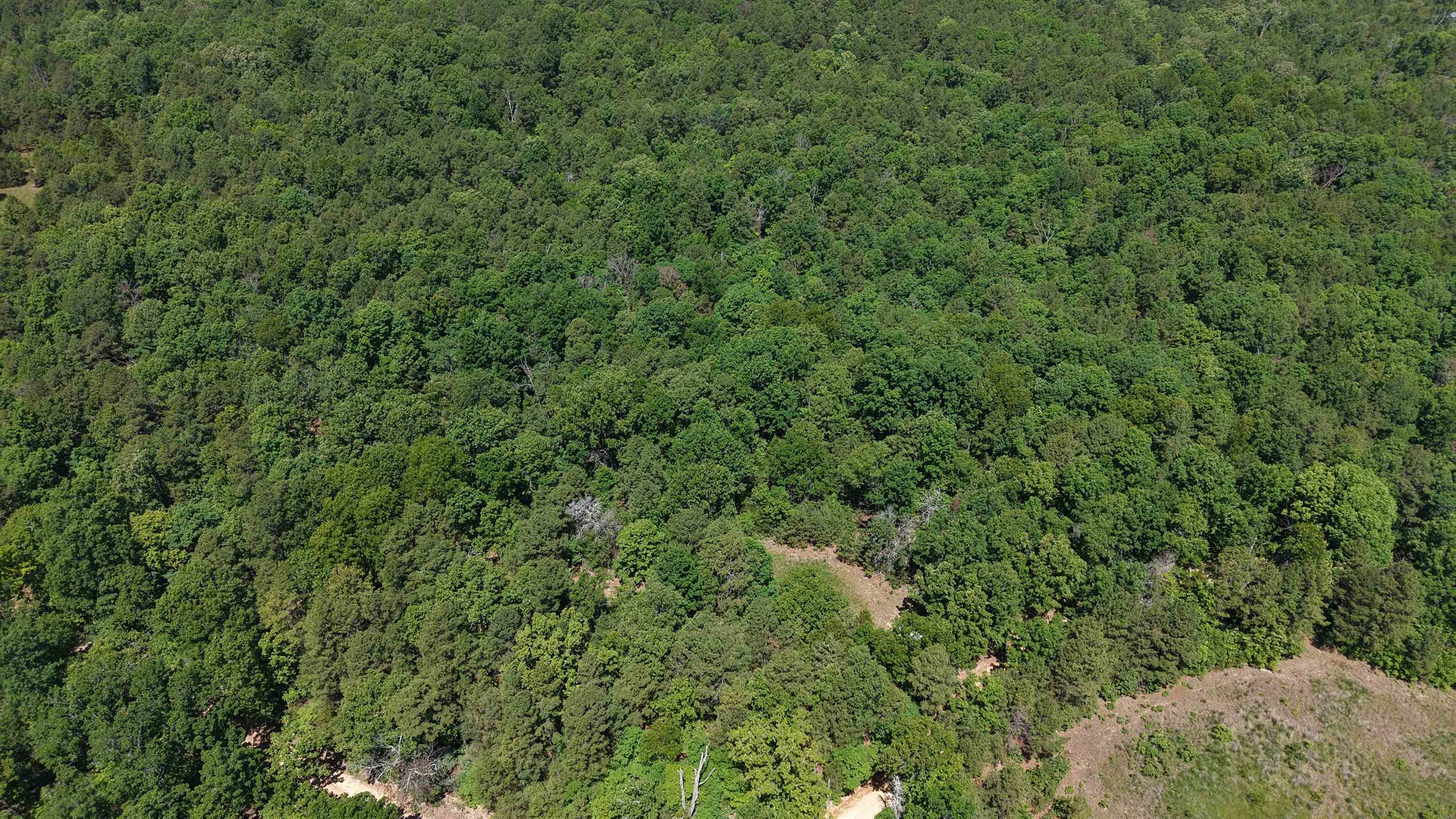 Photo 9 - Vacant Land for sale – 51  Herron Way   Brockwell, AR