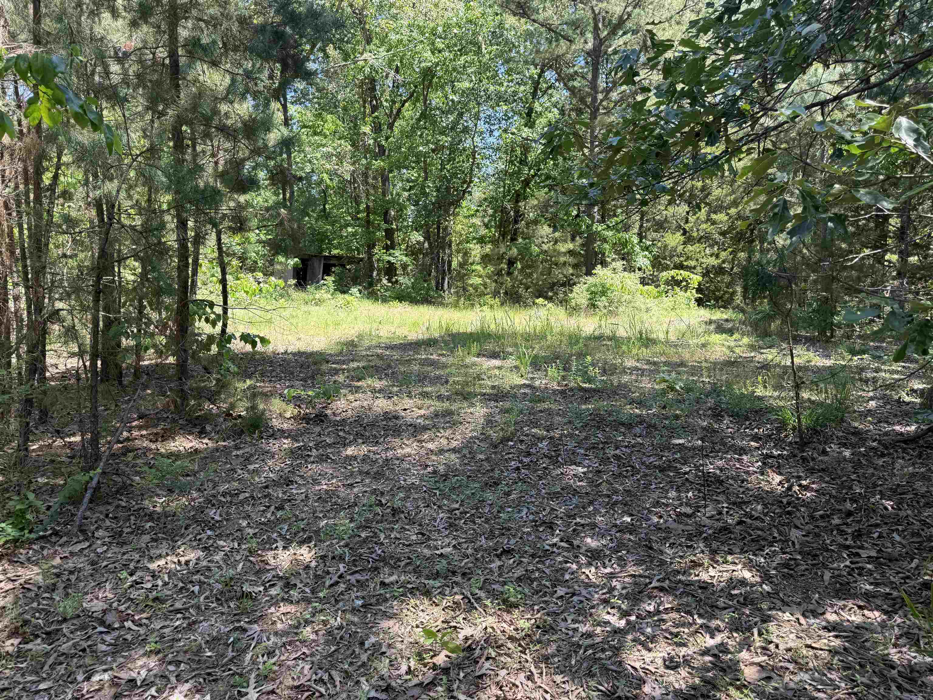 Photo 10 - Vacant Land for sale – 51  Herron Way   Brockwell, AR
