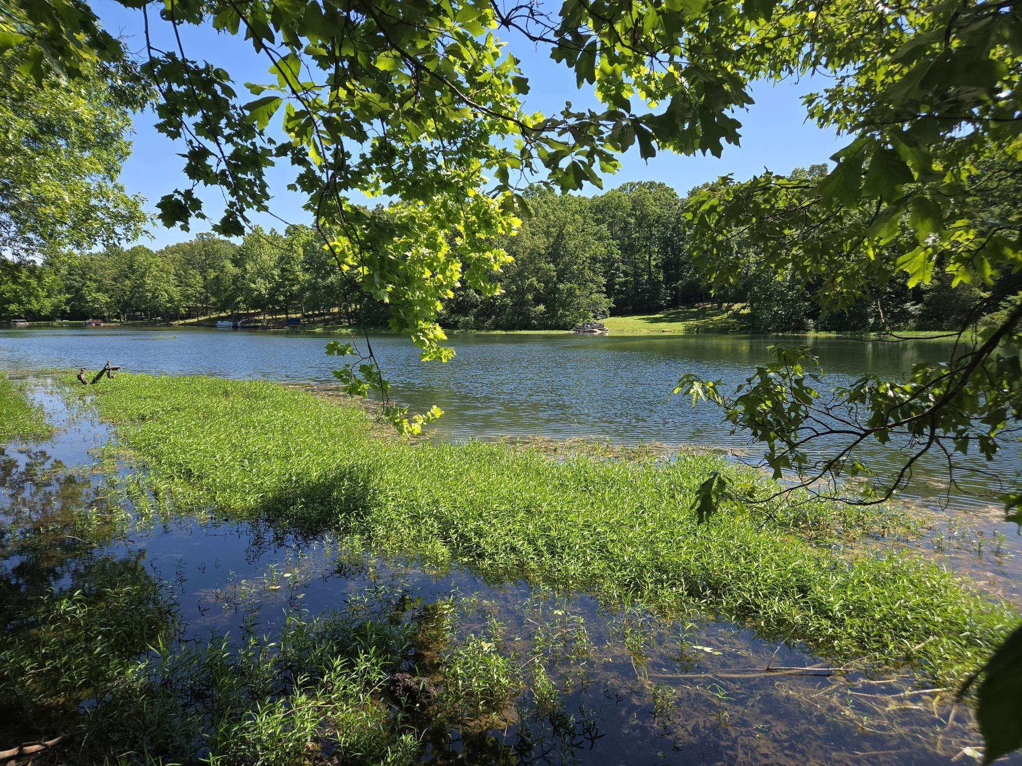 Photo 2 - Vacant Land for sale – 42  Enid   Cherokee Village, AR