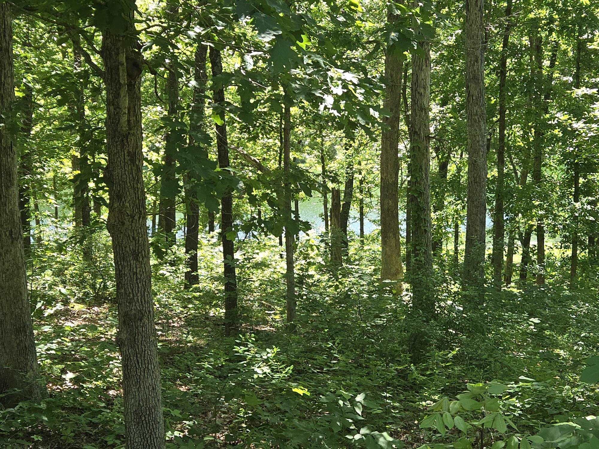Photo 3 - Vacant Land for sale – 42  Enid   Cherokee Village, AR