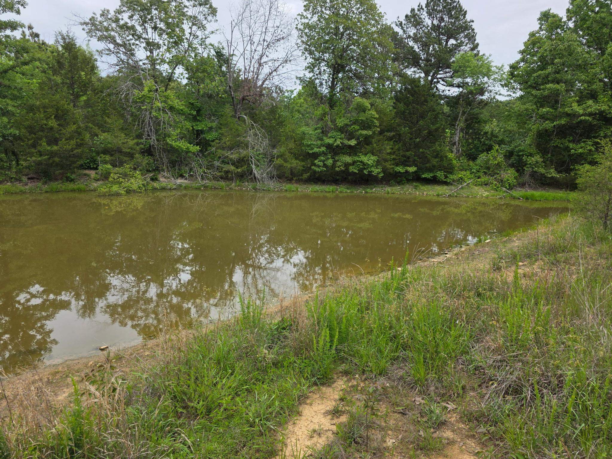 Photo 6 - Residential for sale – 480  Main Street   Oxford, AR