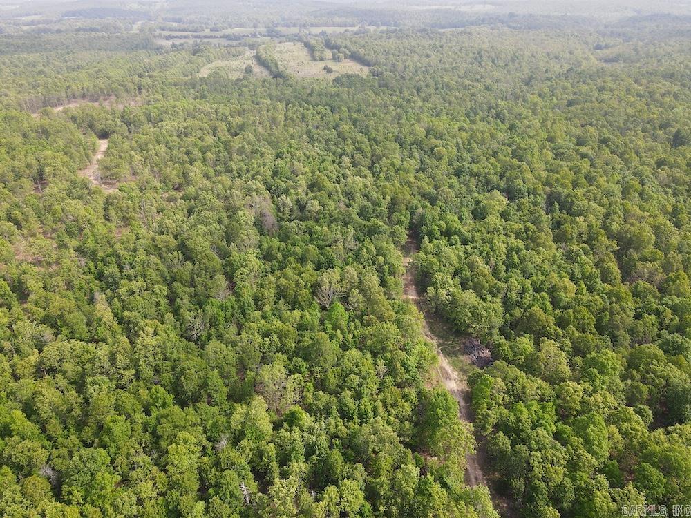 Photo 2 - Vacant Land for sale –   N/A Red Bud Rd   Sturkie, AR
