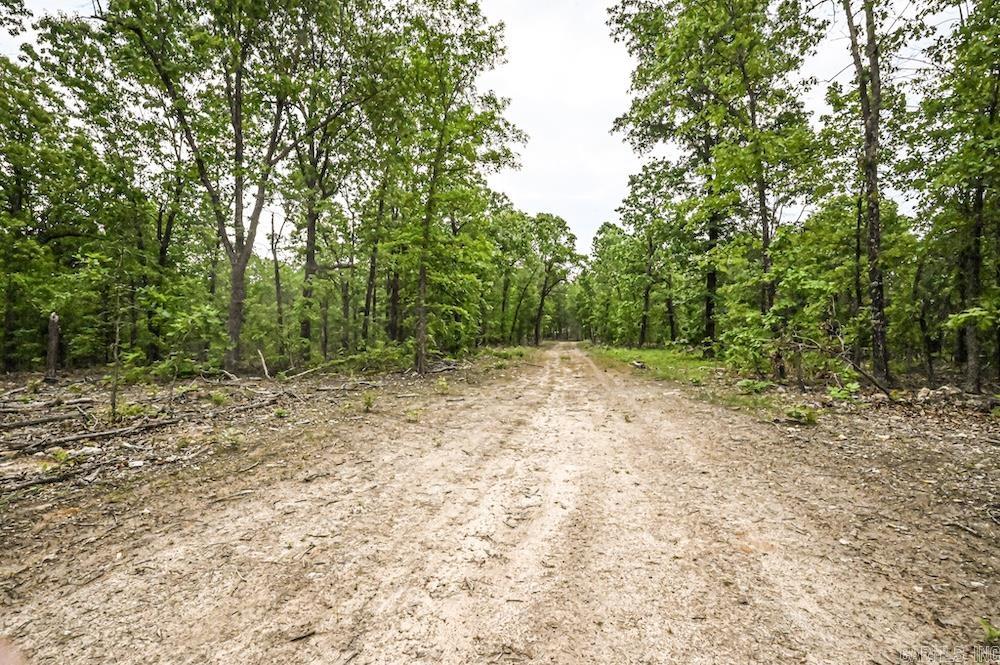 Photo 11 - Vacant Land for sale –   N/A Red Bud Rd   Sturkie, AR
