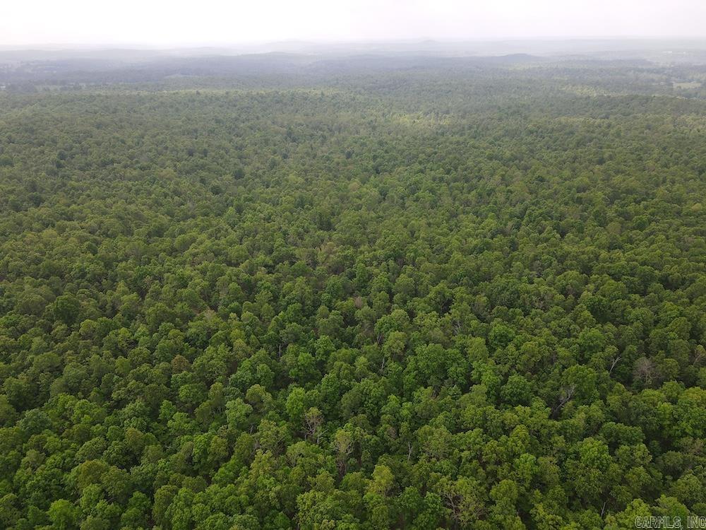 Photo 12 - Vacant Land for sale –   N/A Red Bud Rd   Sturkie, AR