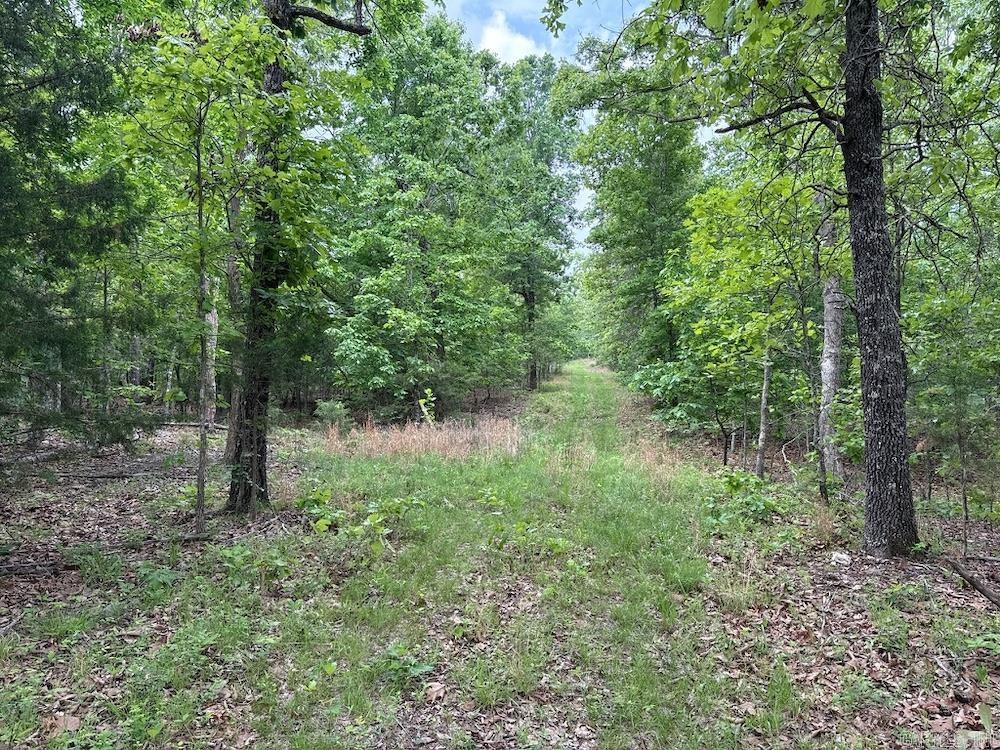 Photo 13 - Vacant Land for sale –   N/A Red Bud Rd   Sturkie, AR