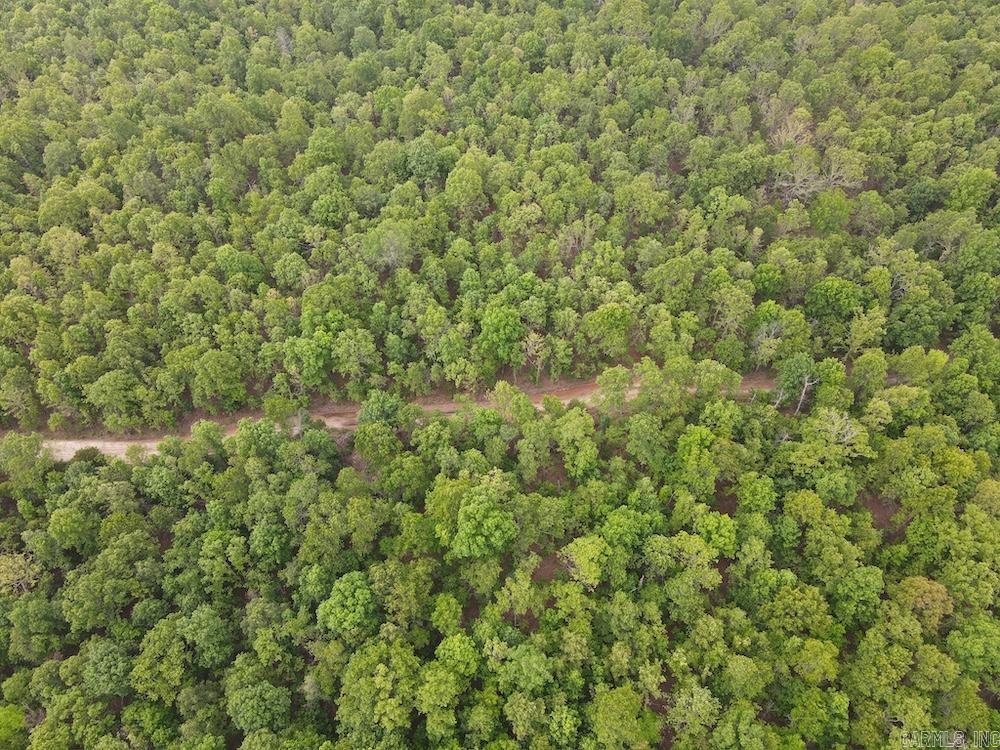 Photo 14 - Vacant Land for sale –   N/A Red Bud Rd   Sturkie, AR