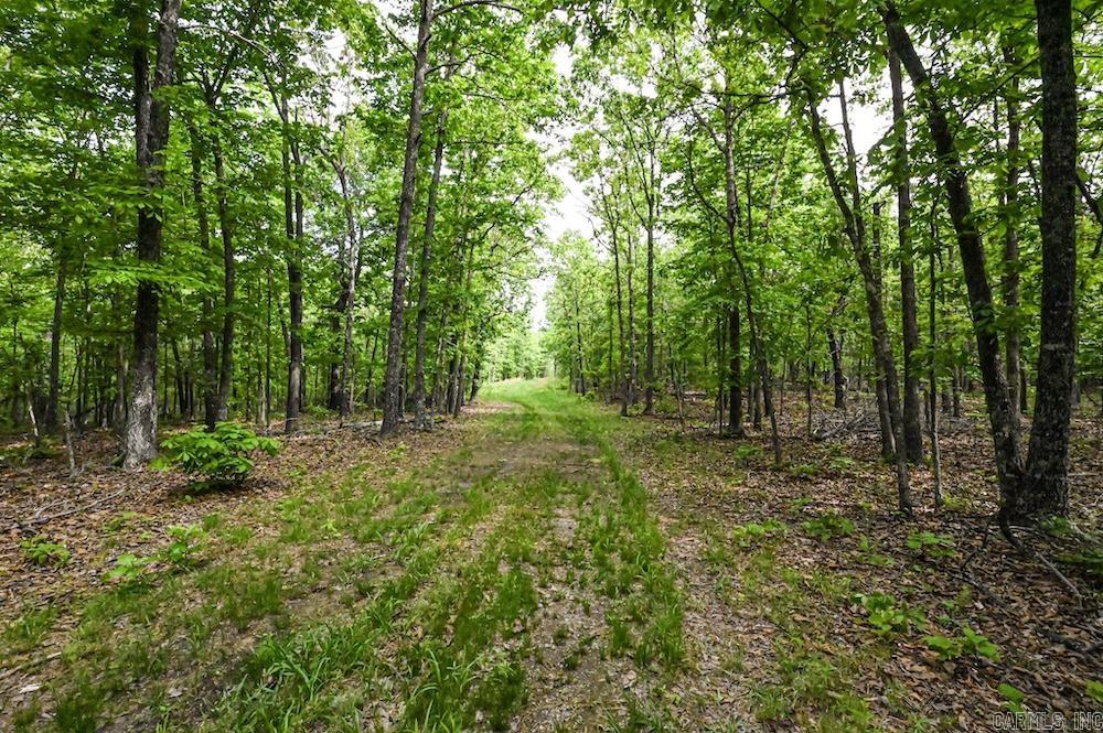 Photo 15 - Vacant Land for sale –   N/A Red Bud Rd   Sturkie, AR