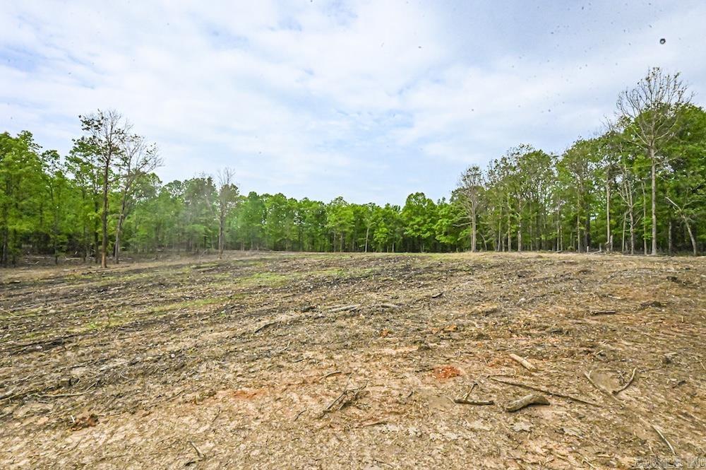 Photo 16 - Vacant Land for sale –   N/A Red Bud Rd   Sturkie, AR