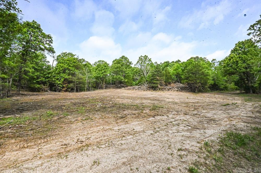 Photo 18 - Vacant Land for sale –   N/A Red Bud Rd   Sturkie, AR