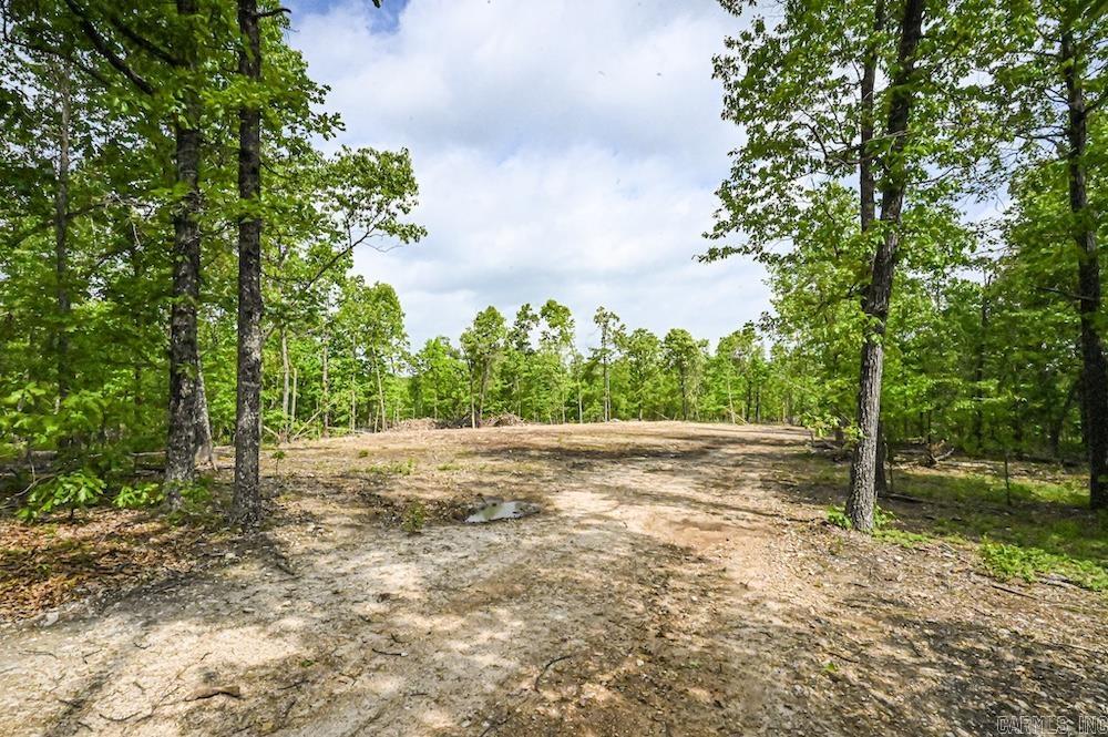 Photo 19 - Vacant Land for sale –   N/A Red Bud Rd   Sturkie, AR