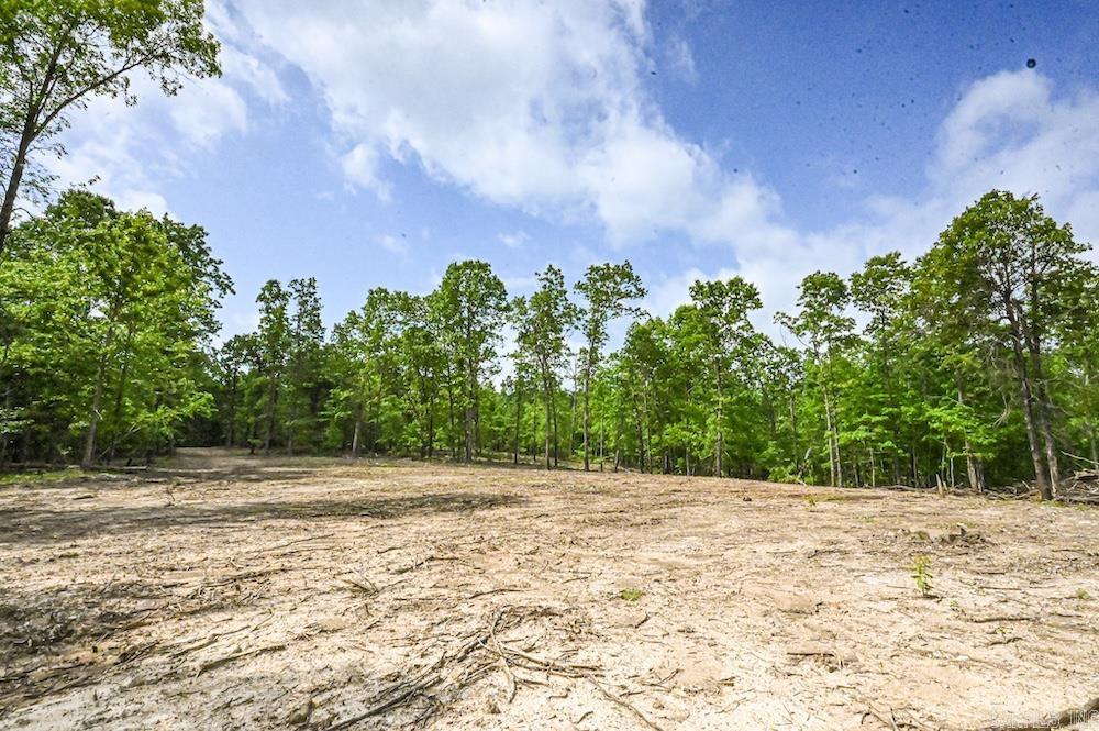 Photo 20 - Vacant Land for sale –   N/A Red Bud Rd   Sturkie, AR