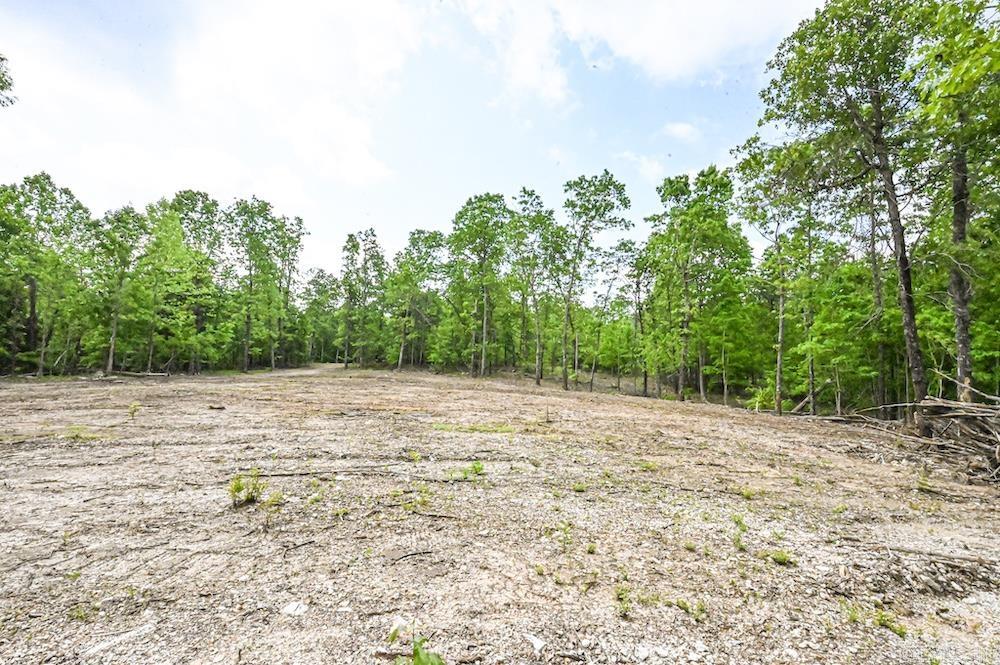 Photo 21 - Vacant Land for sale –   N/A Red Bud Rd   Sturkie, AR
